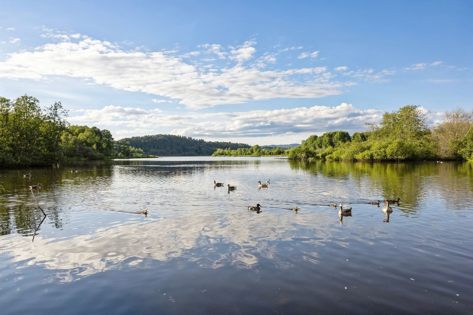 Kort vei til Østensjøvannet med flotte turmuligheter. Galleribilde