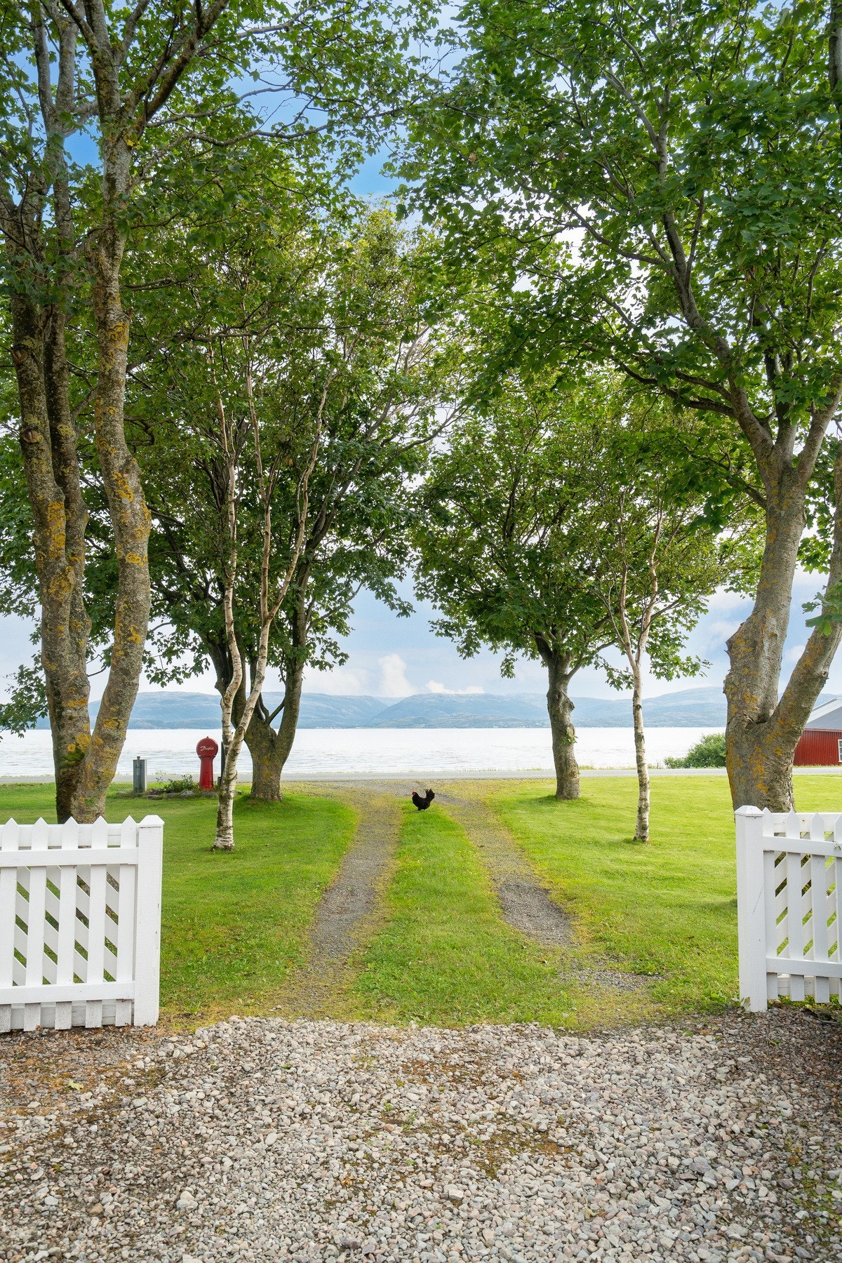 En hver gård må jo ha en álle som leder opp til tunet. Galleribilde