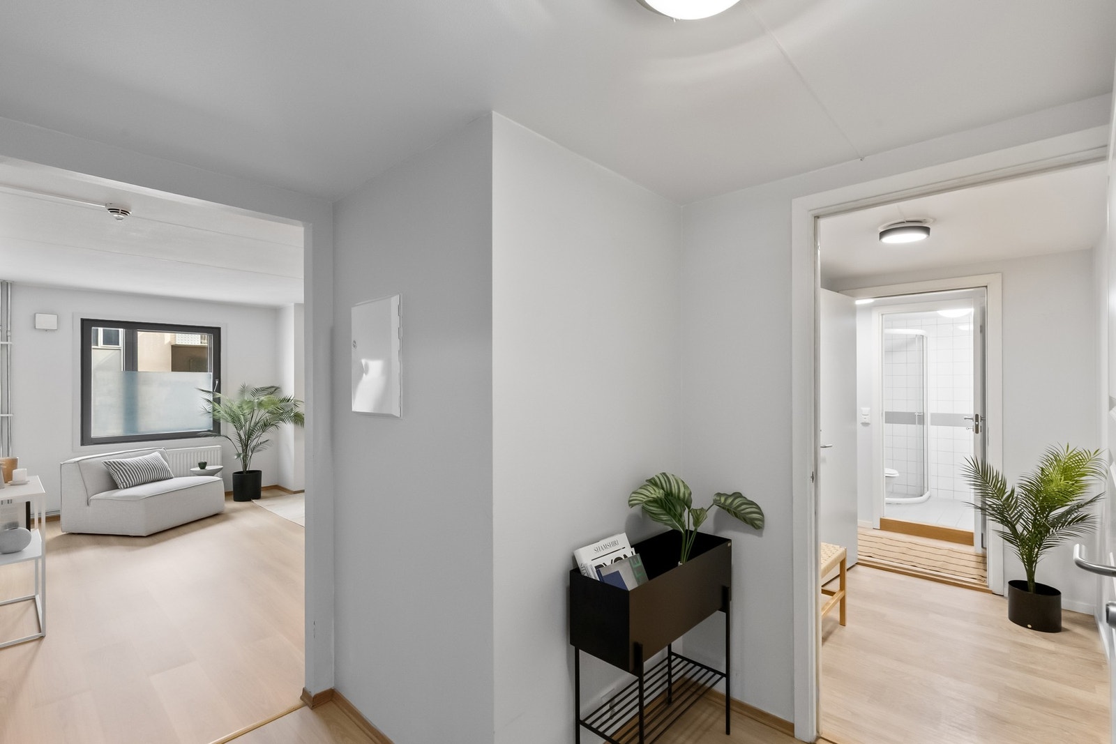 Felles entré mellom leiligheten og hybelen med hver sin inngang. Galleribilde
