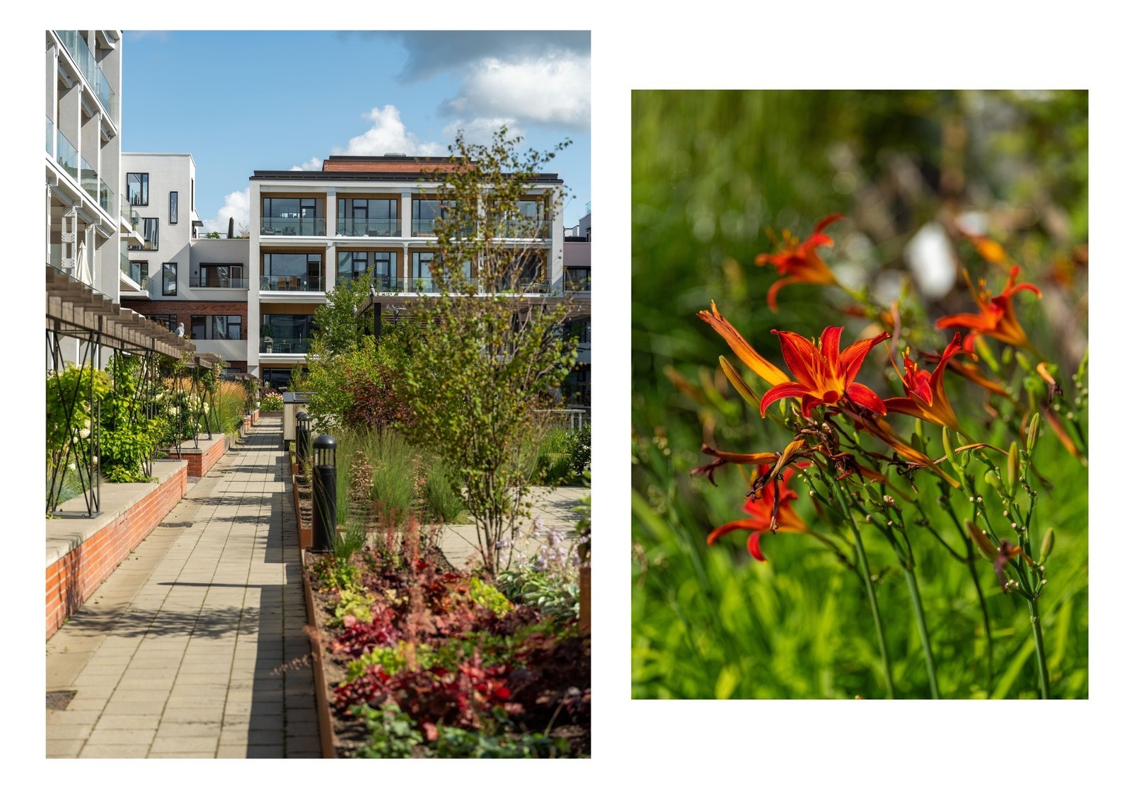 På utsiden av markterrassen er svært frodige fellesarealer. Galleribilde
