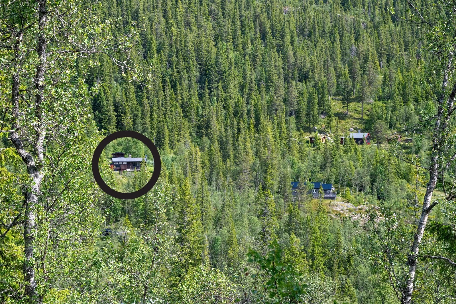 Selgers egne bilder; Oversiktsbilde av deler av området rundt hytta Galleribilde