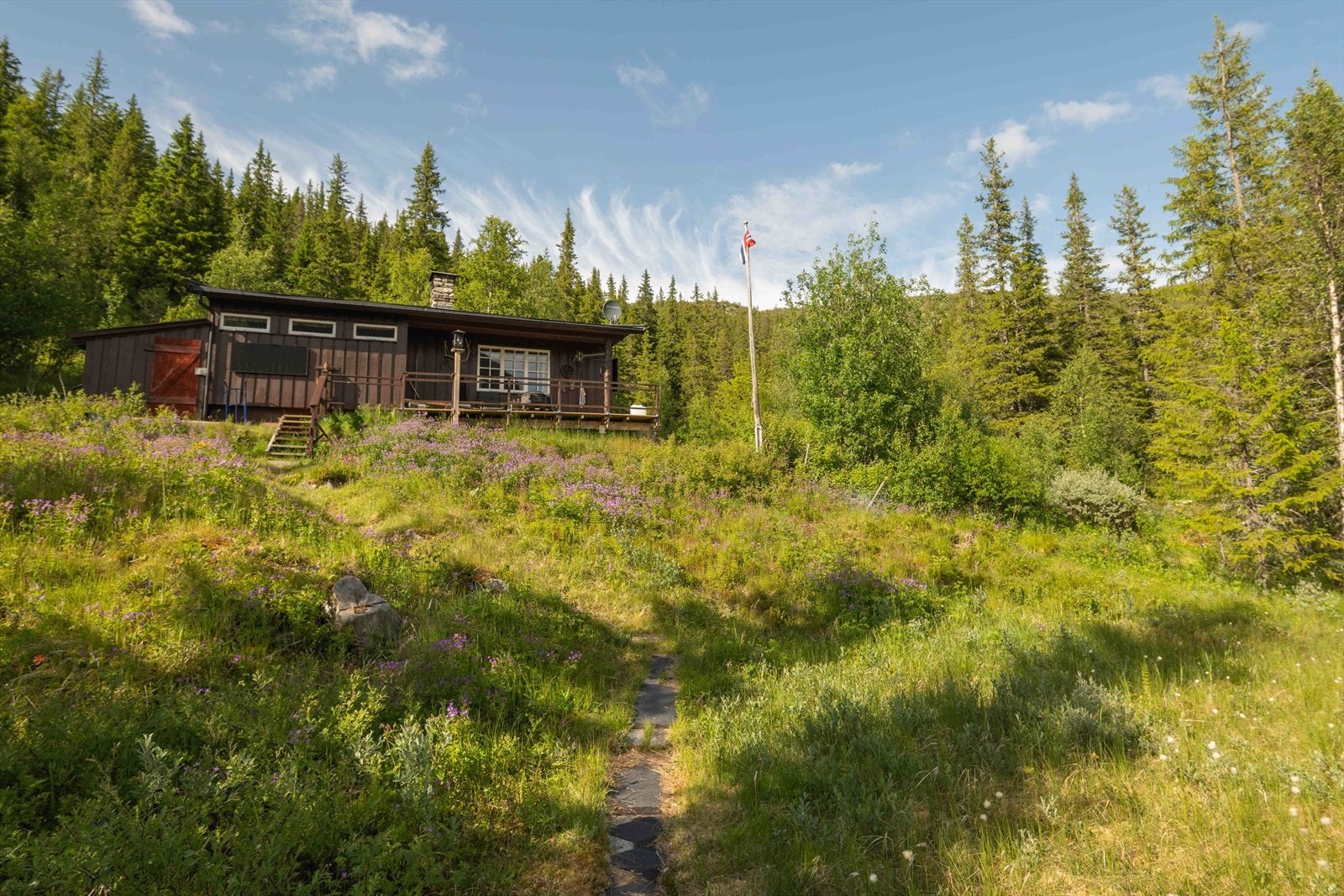 Selgers egne bilder; På stien opp til hytta Galleribilde