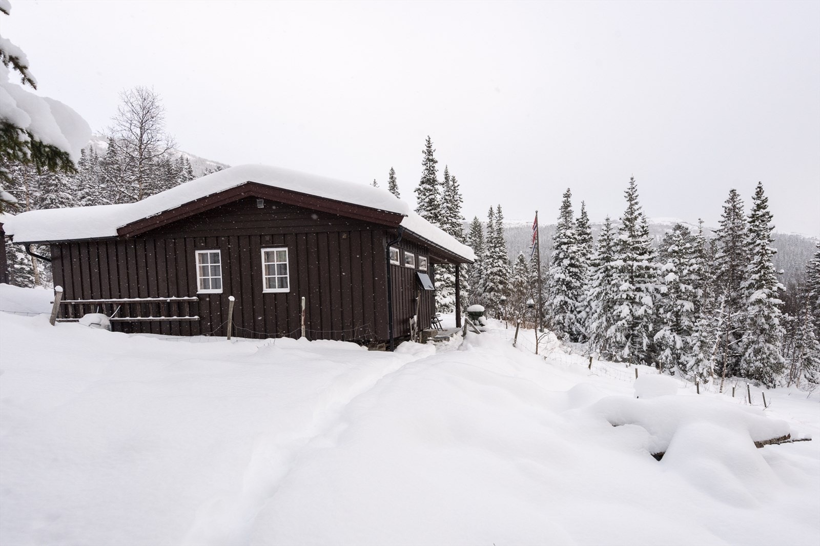 Selgers egne bilder; Fra brønnen mot hytta Galleribilde