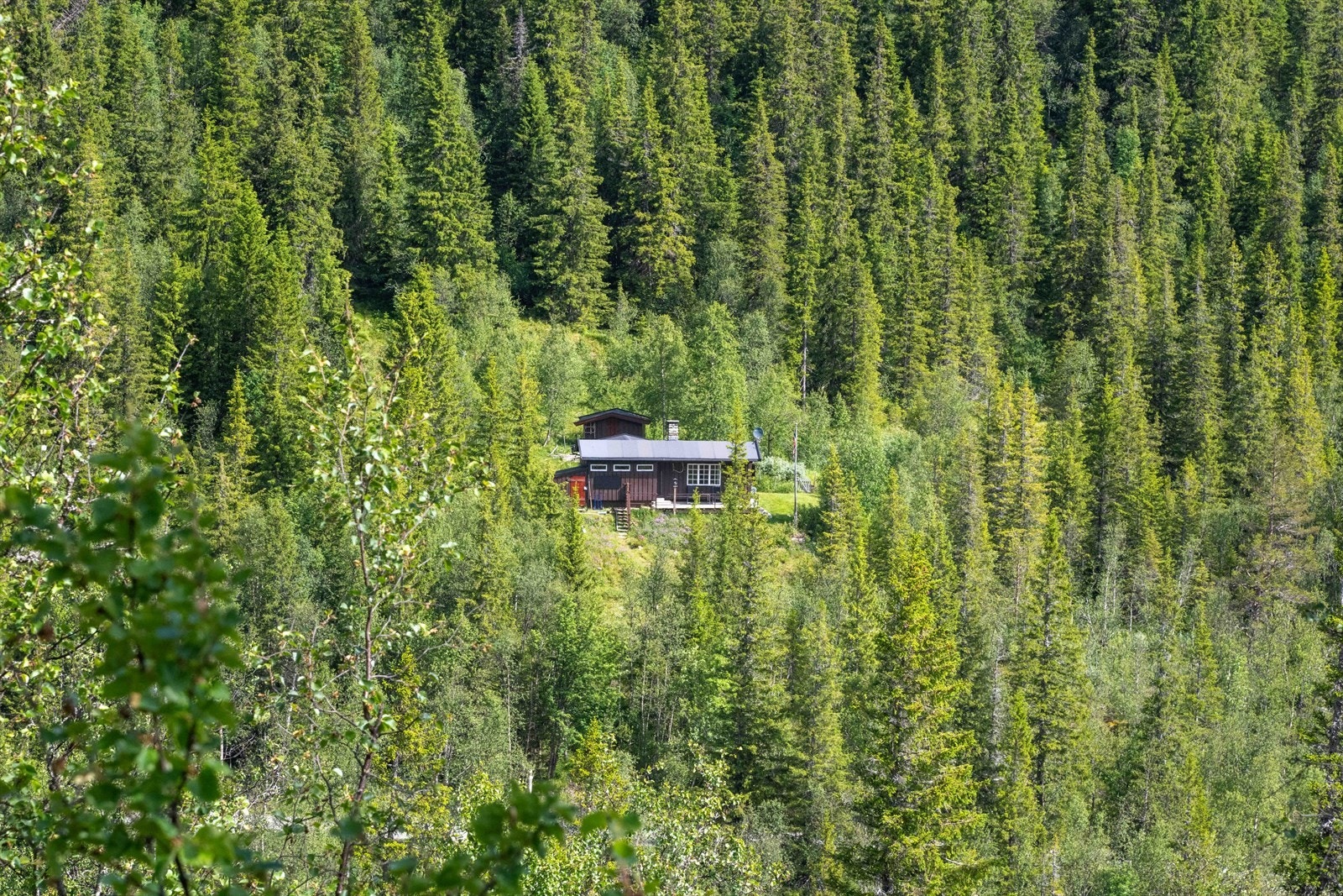 Selgers egne bilder; Hytta sett fra dalen på sørsiden Galleribilde