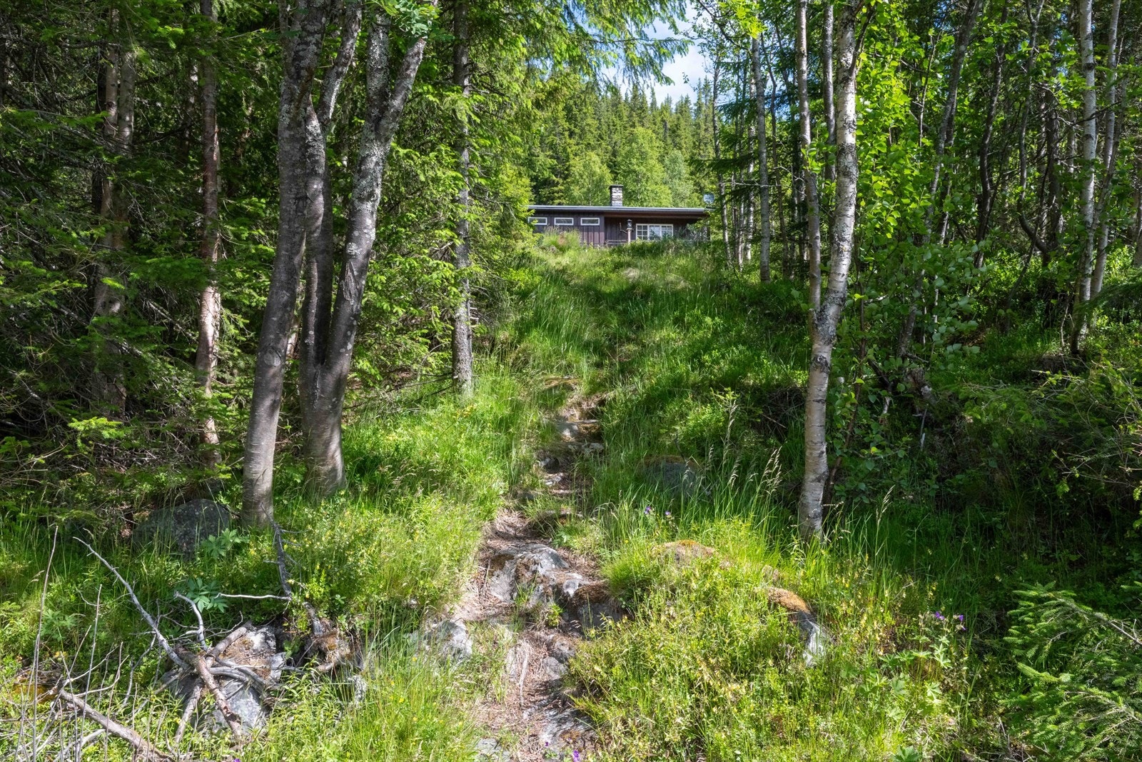 Selgers egne bilder; Sett fra veien - stien til hytta Galleribilde