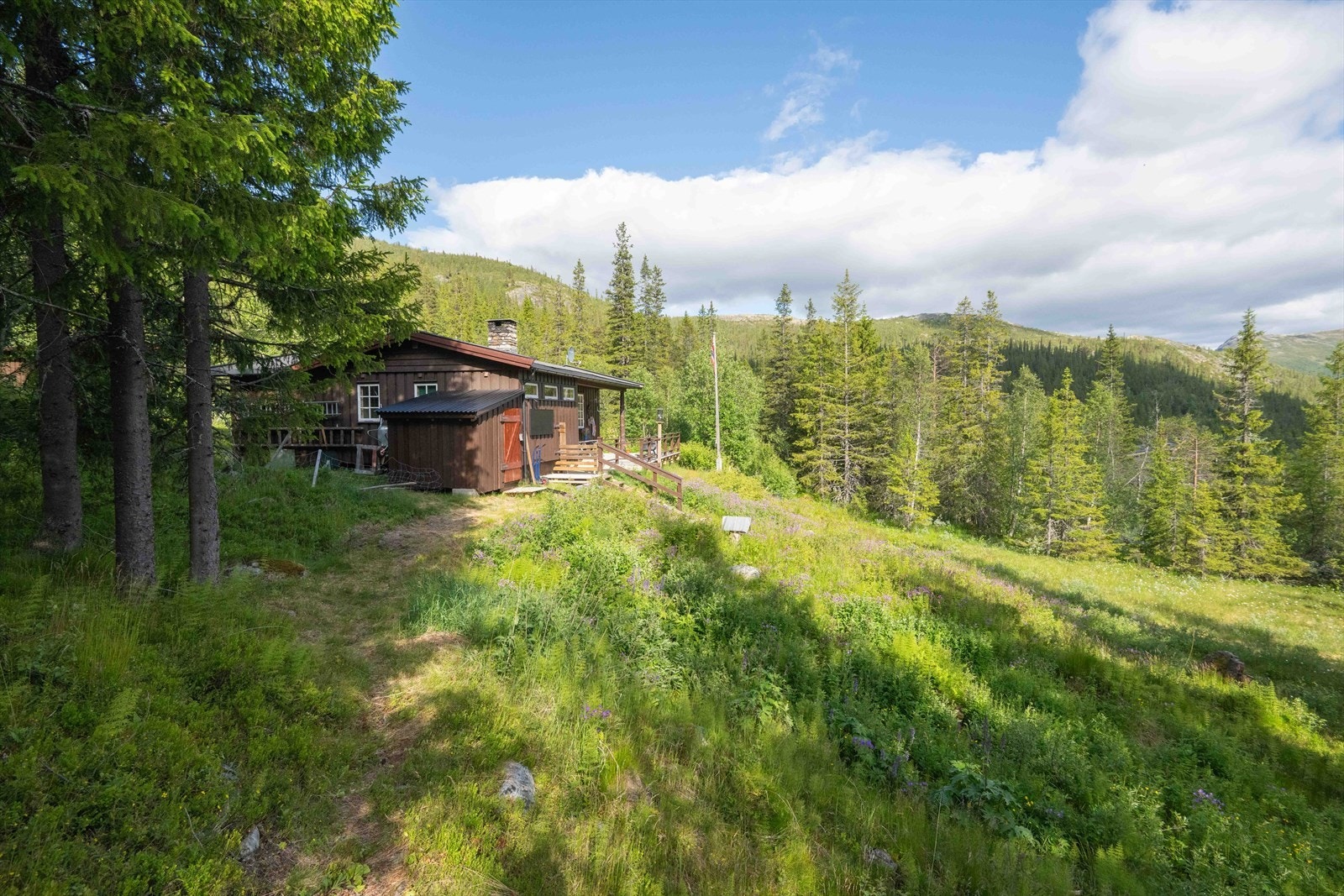 Selgers egne bilder; På stien fra brønnen Galleribilde