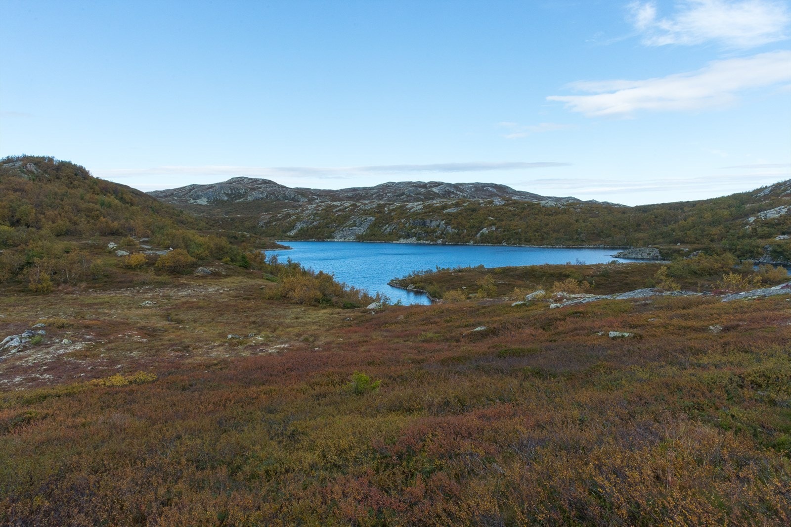 Selgers egne bilder; Røyetjønn - ca en times gange fra hytta Galleribilde