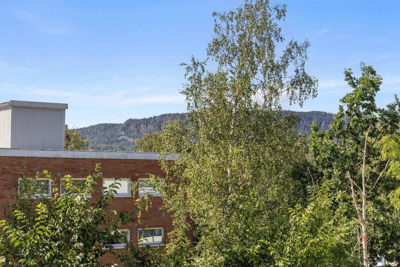 Utsikt fra balkongen Galleribilde