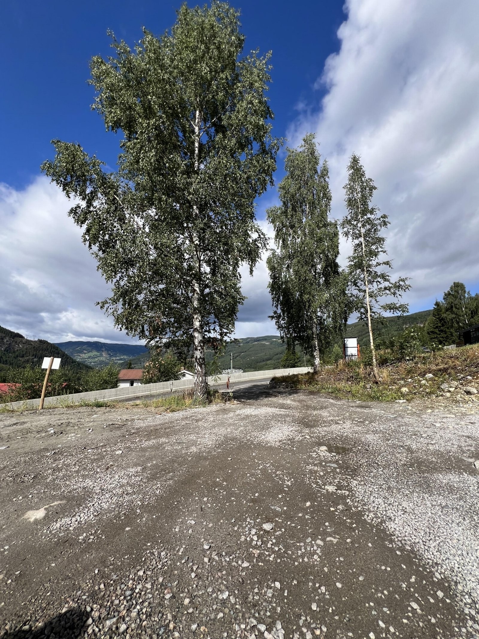 IMG_1258 2 Galleribilde