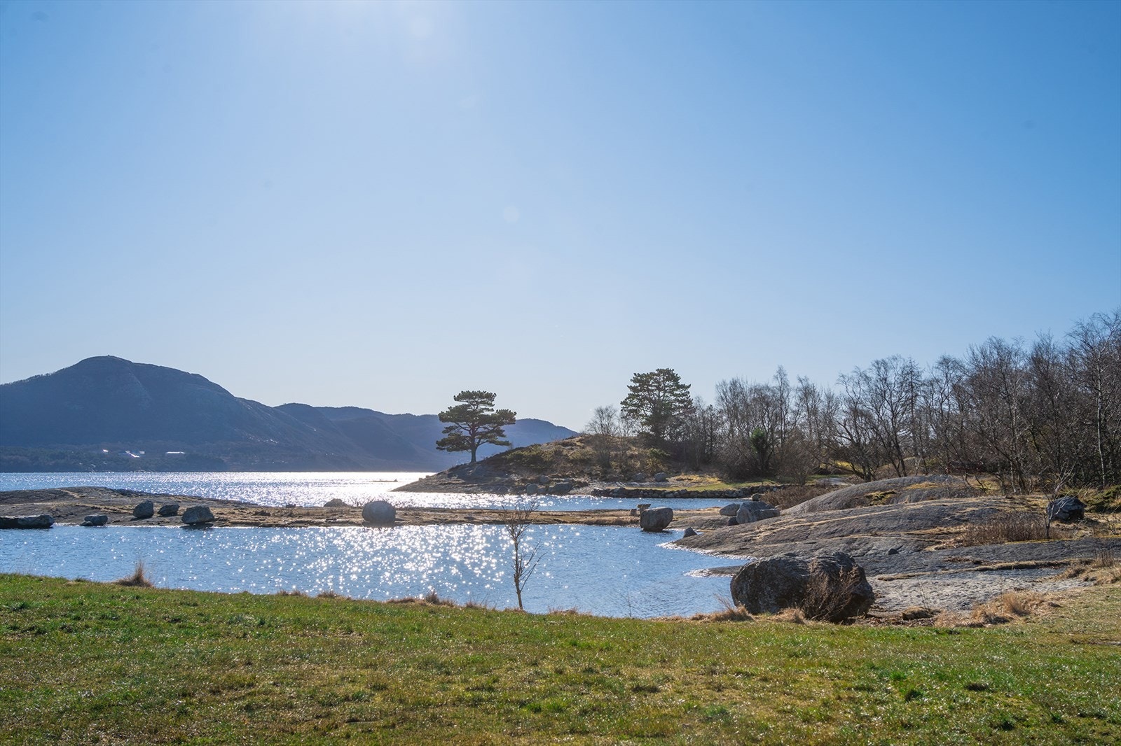 Nærområdet Galleribilde