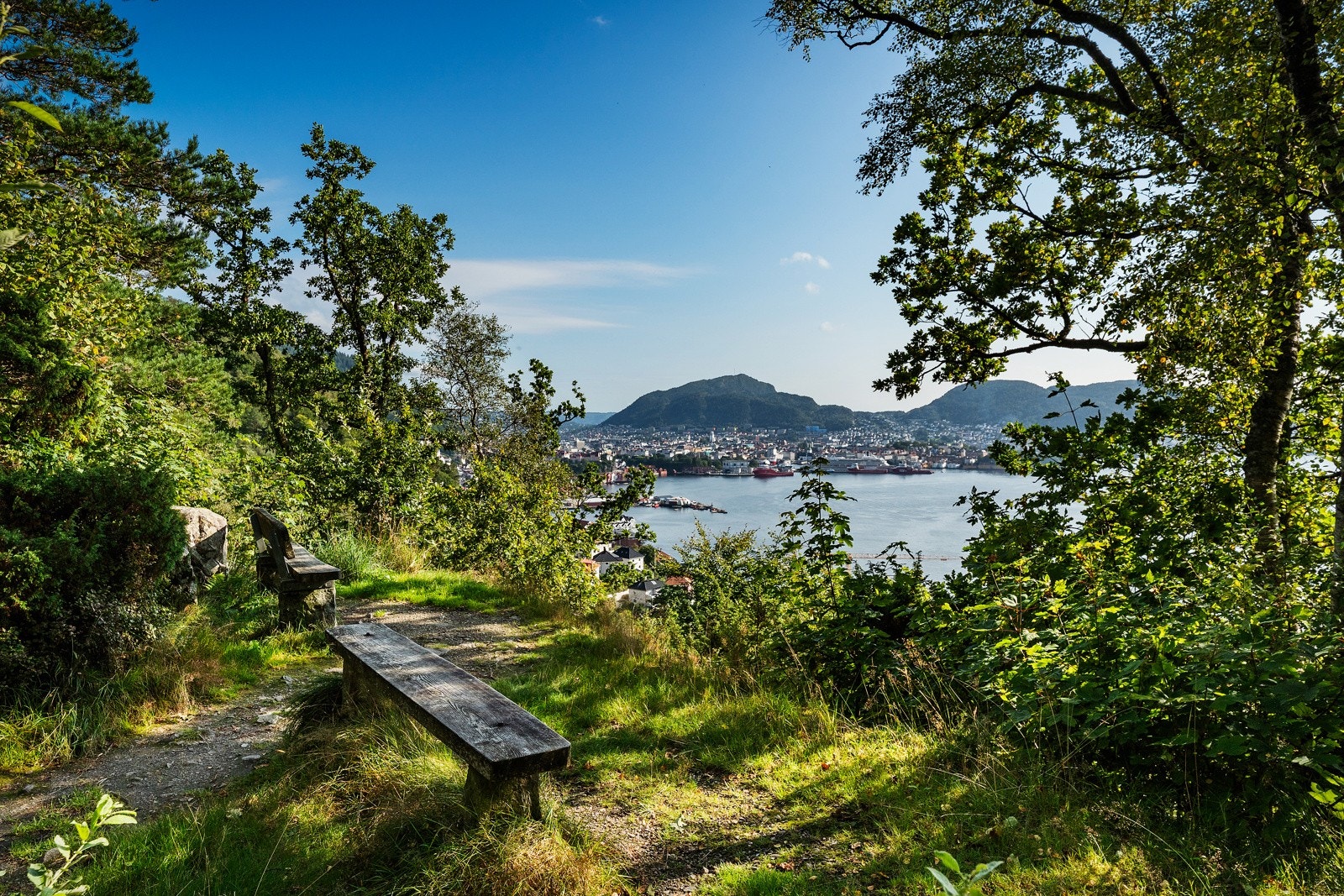 Det er fine turområder i nærheten med bare 5-10 minutters gange er man på i fjellet, og med muligheter for å gå diverse turer til fløyen/stoltzen. Galleribilde