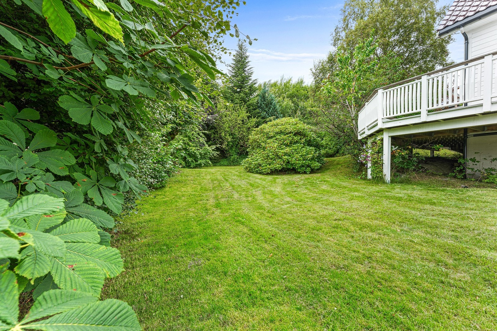 Pent opparbeidet tomt med store plenareal og prydbusker. Galleribilde