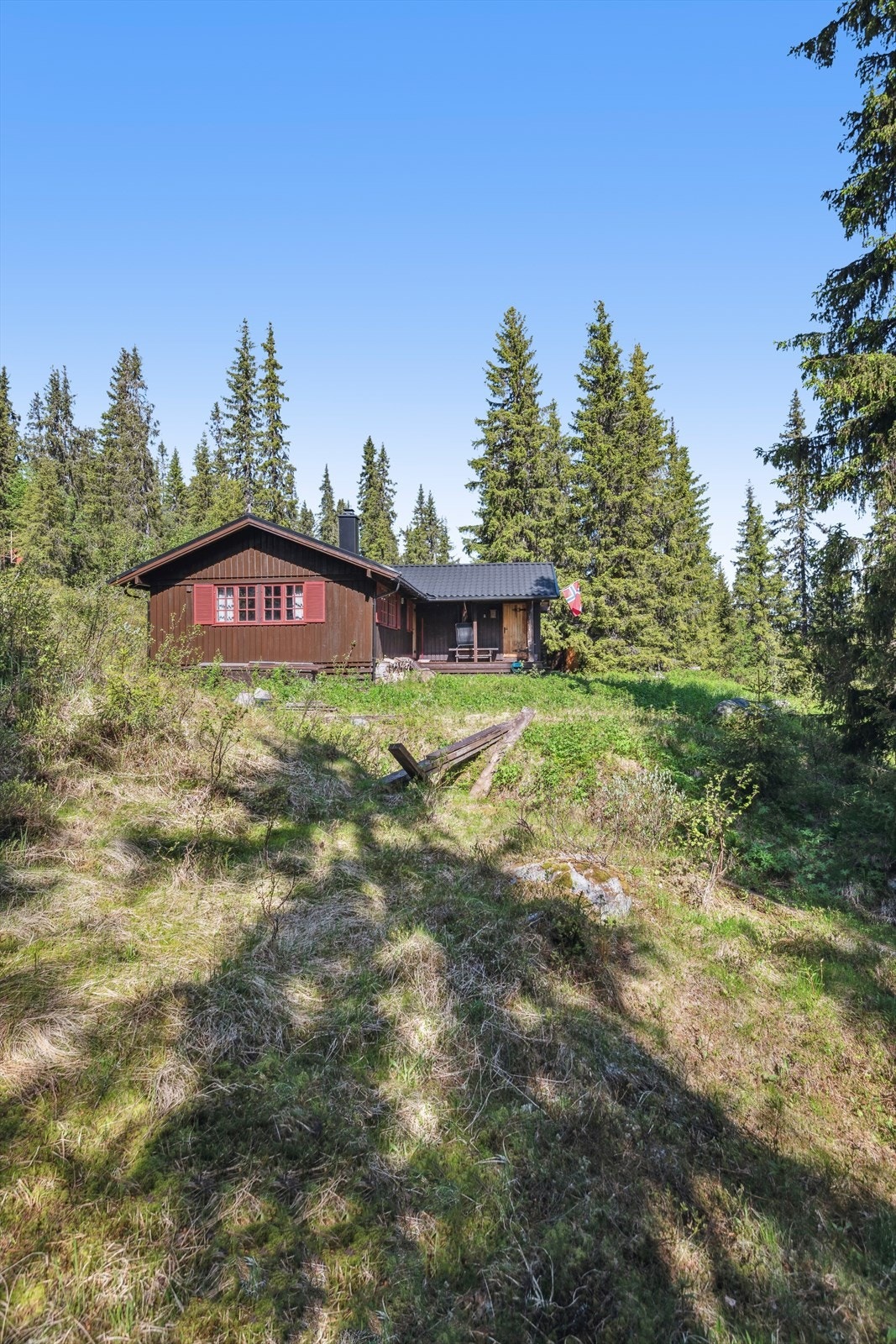 Her kan du nyte rike naturopplevelser med flotte turer på merkede stier. Galleribilde
