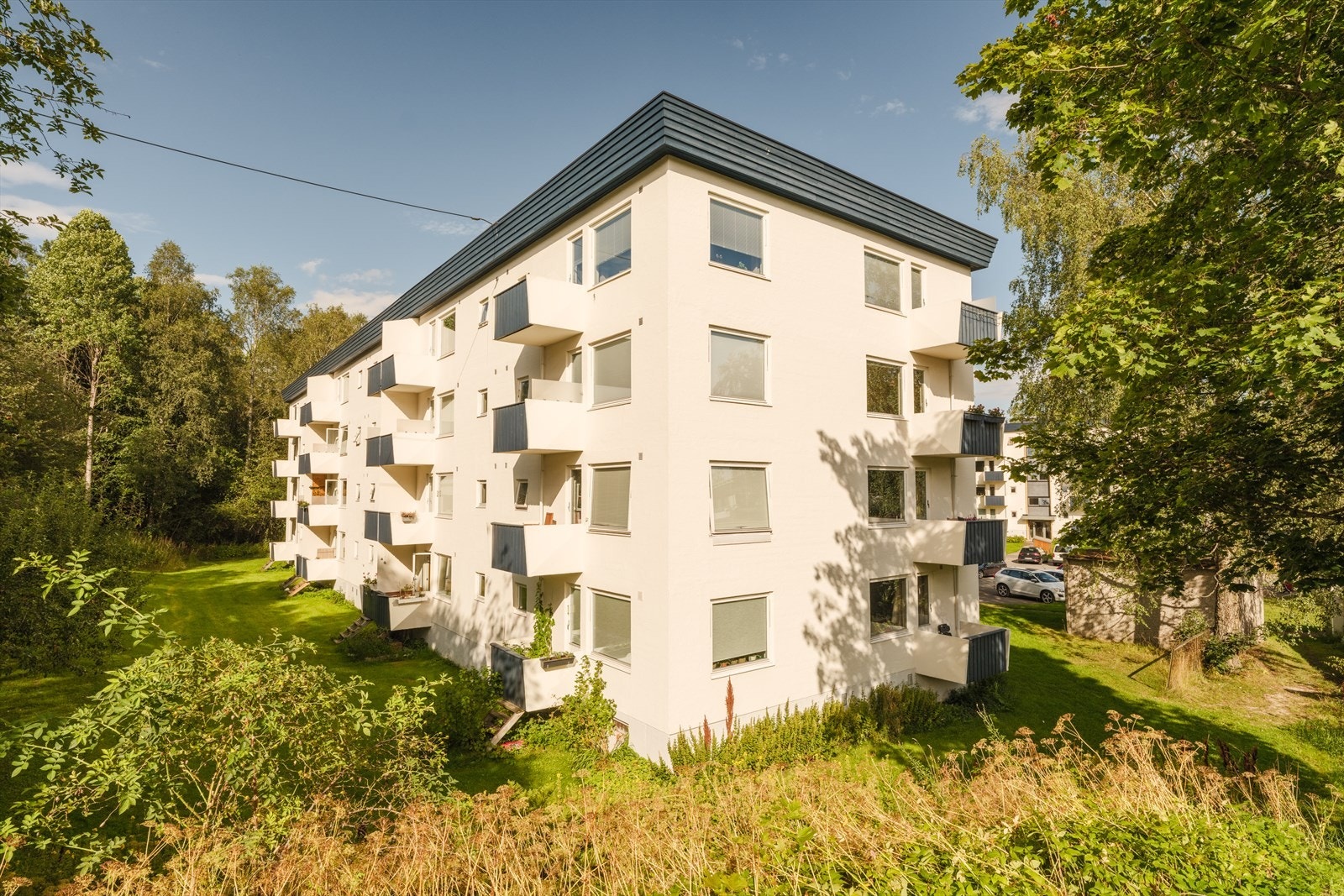 Langmyra borettslag er et veldrevet borettslag beliggende på Kringsjå. Galleribilde