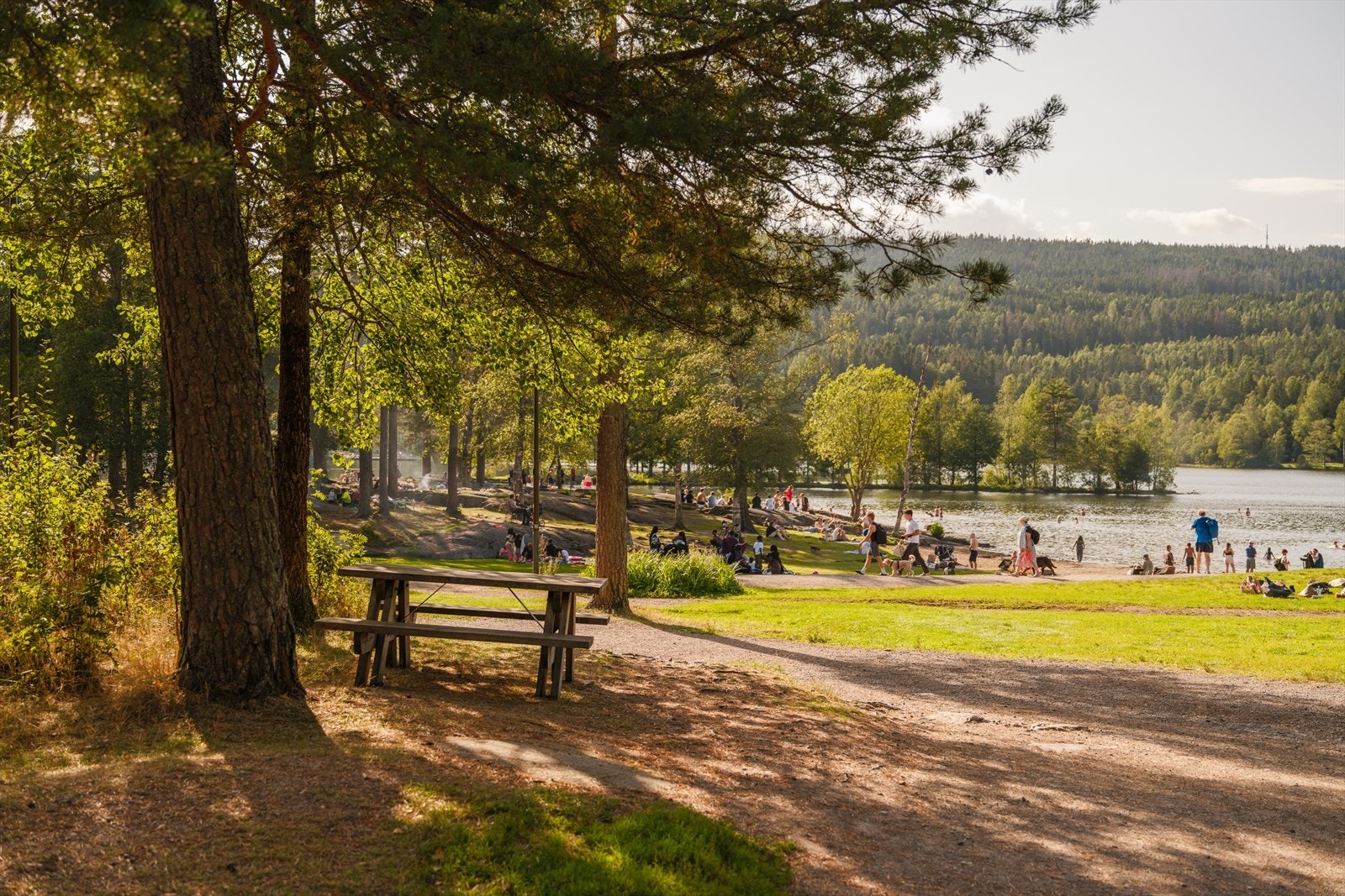 Nærområdet | Sognsvann Galleribilde