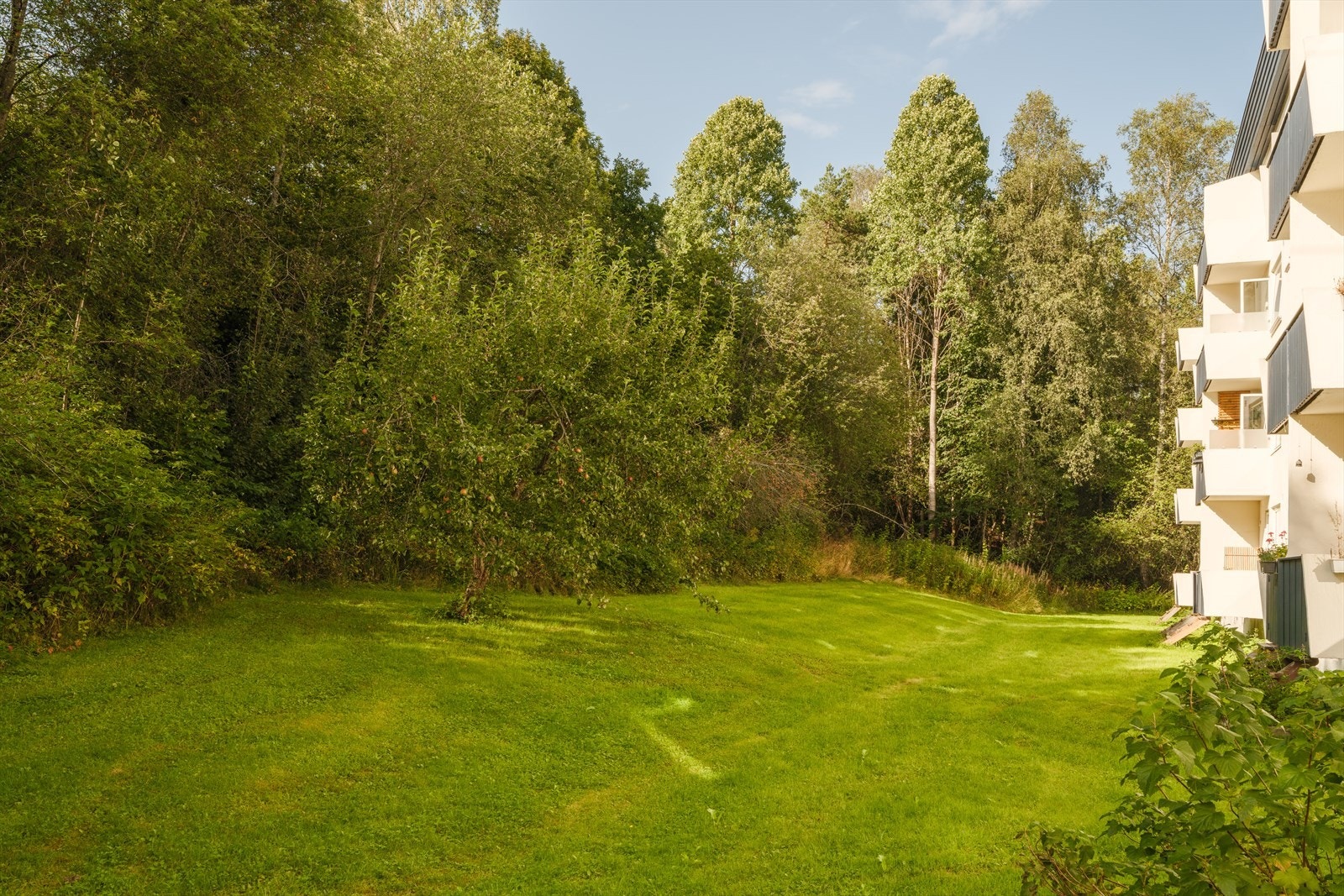 Her bor du i fredfulle og rolige omgivelser med nærhet til flott natur. Galleribilde