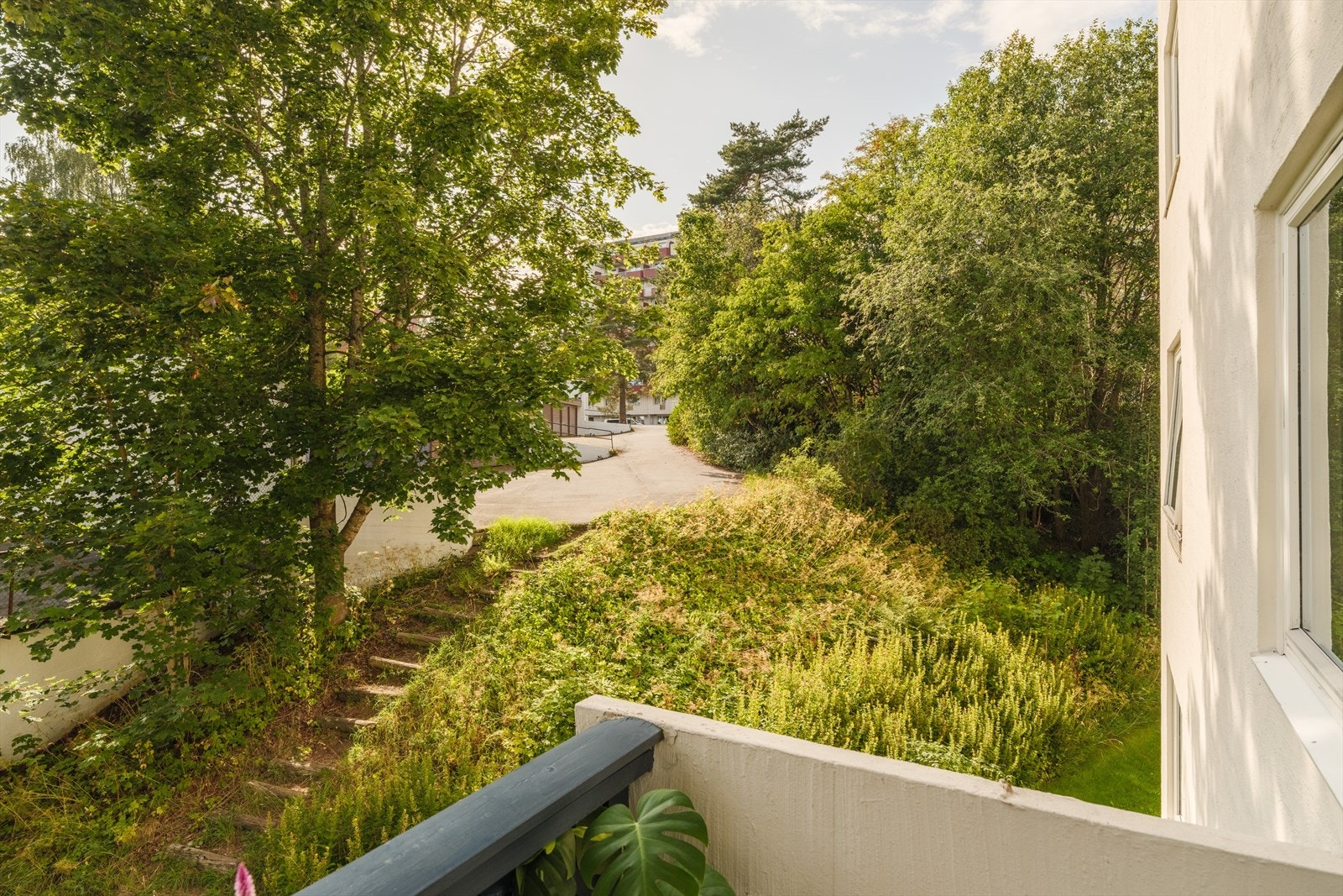 Vakkert utsyn, ingen innsyn. Galleribilde