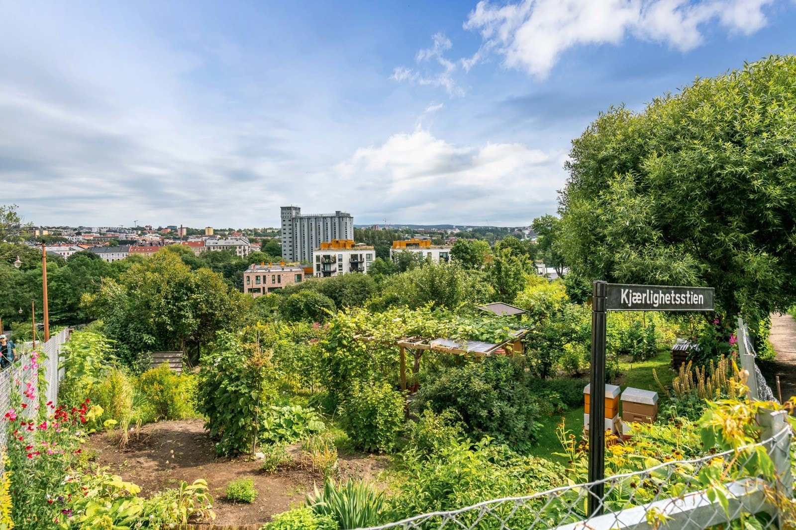 Nærområde - Egebergløkka parsellhage, Telthusbakken og Kjærlighetsstien Galleribilde