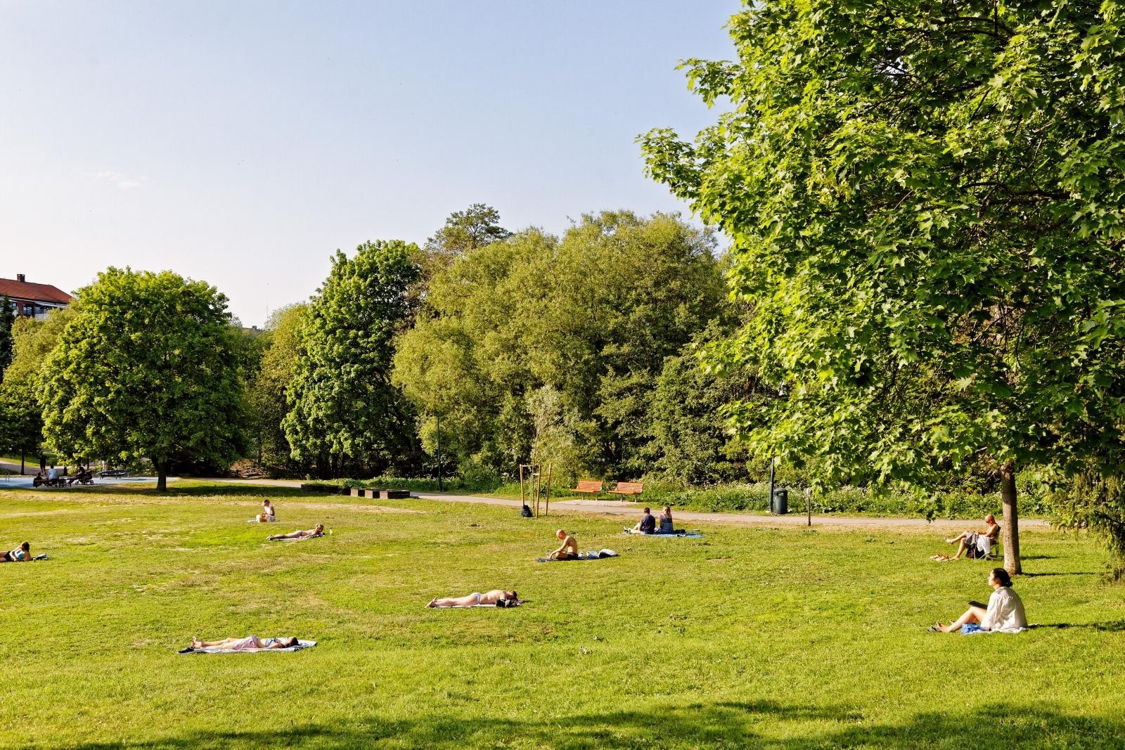 Nærområdet Galleribilde