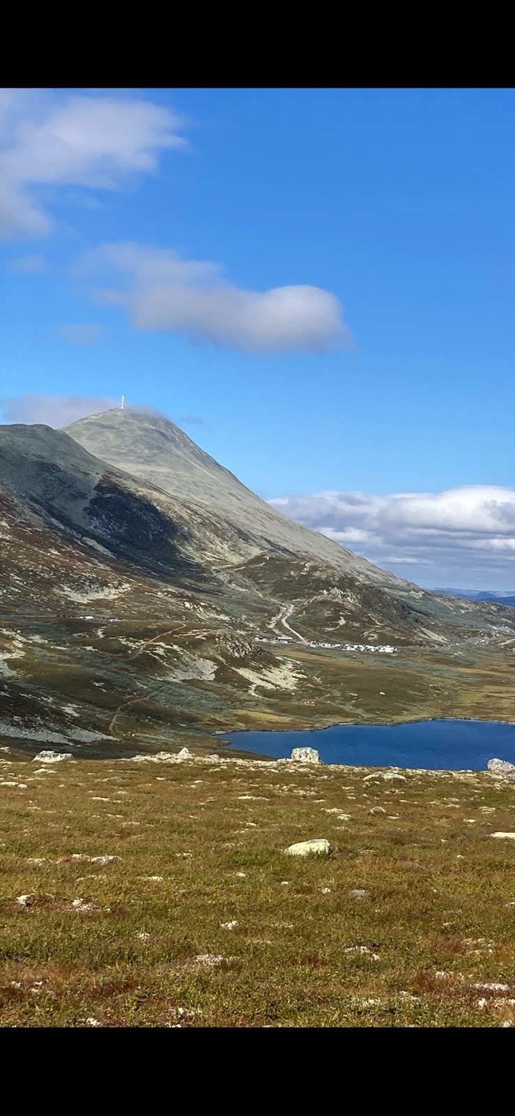 Selgers egne bilder Galleribilde