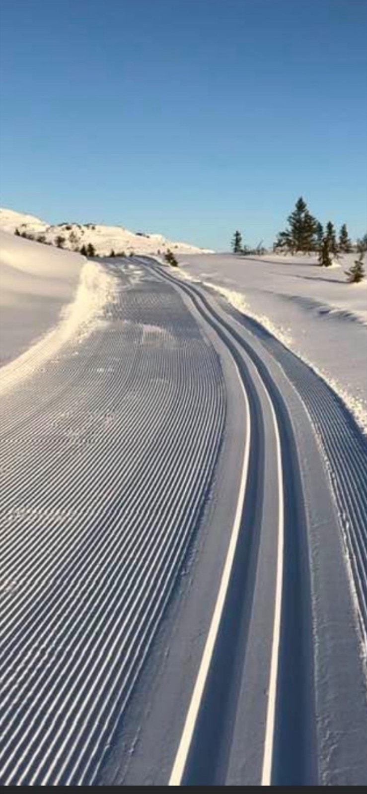 Selgers egne bilder Galleribilde