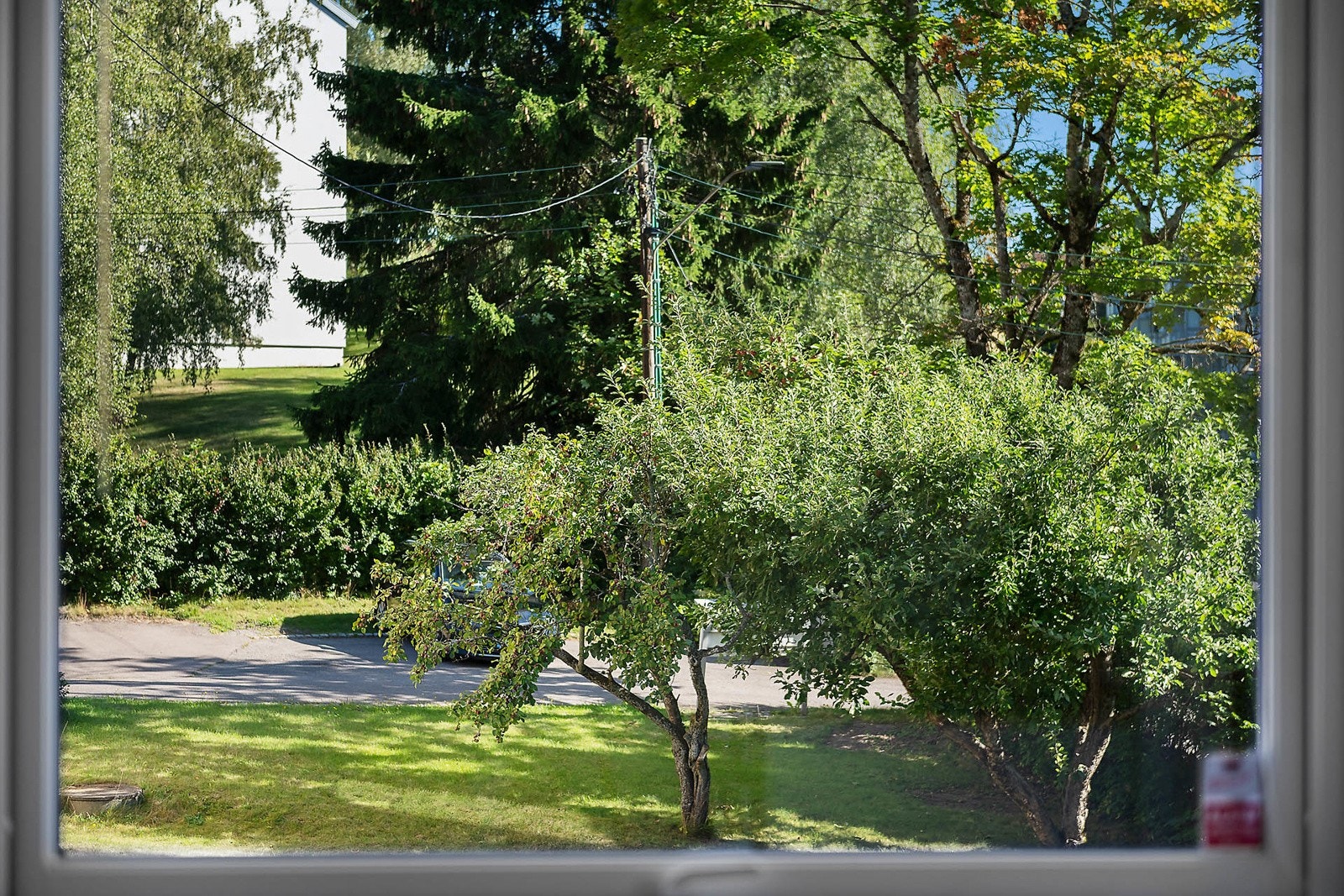Meget idyllisk og frodig i borettslagets felles uteområde. Her er det pent opparbeidet med plen, trær, busker og beplatning. Galleribilde