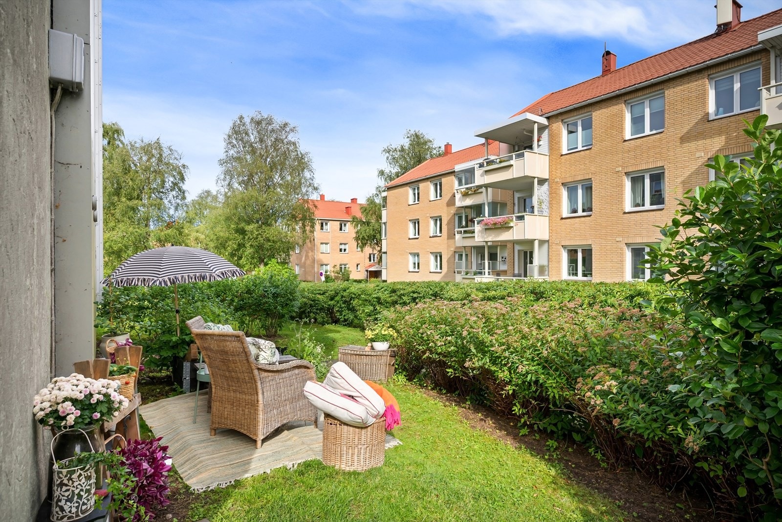 Hageflekk med ettermiddags/kveldssol Galleribilde