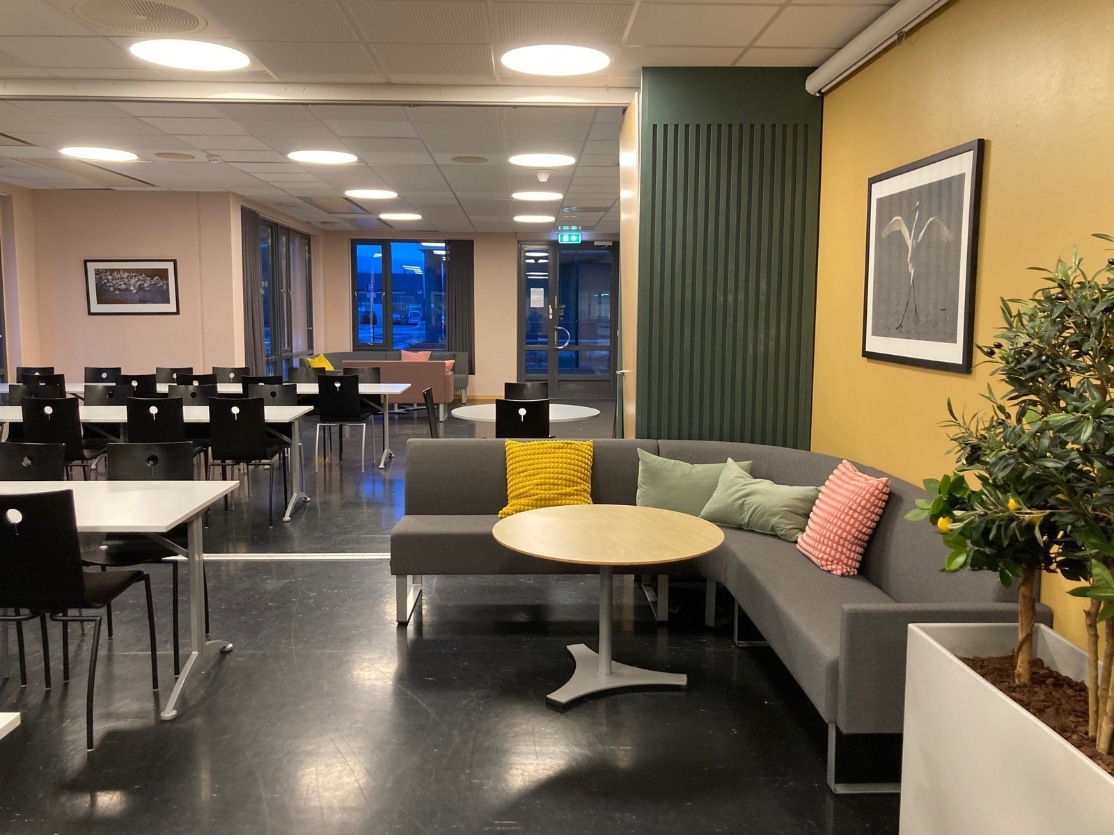 Kantine Galleribilde