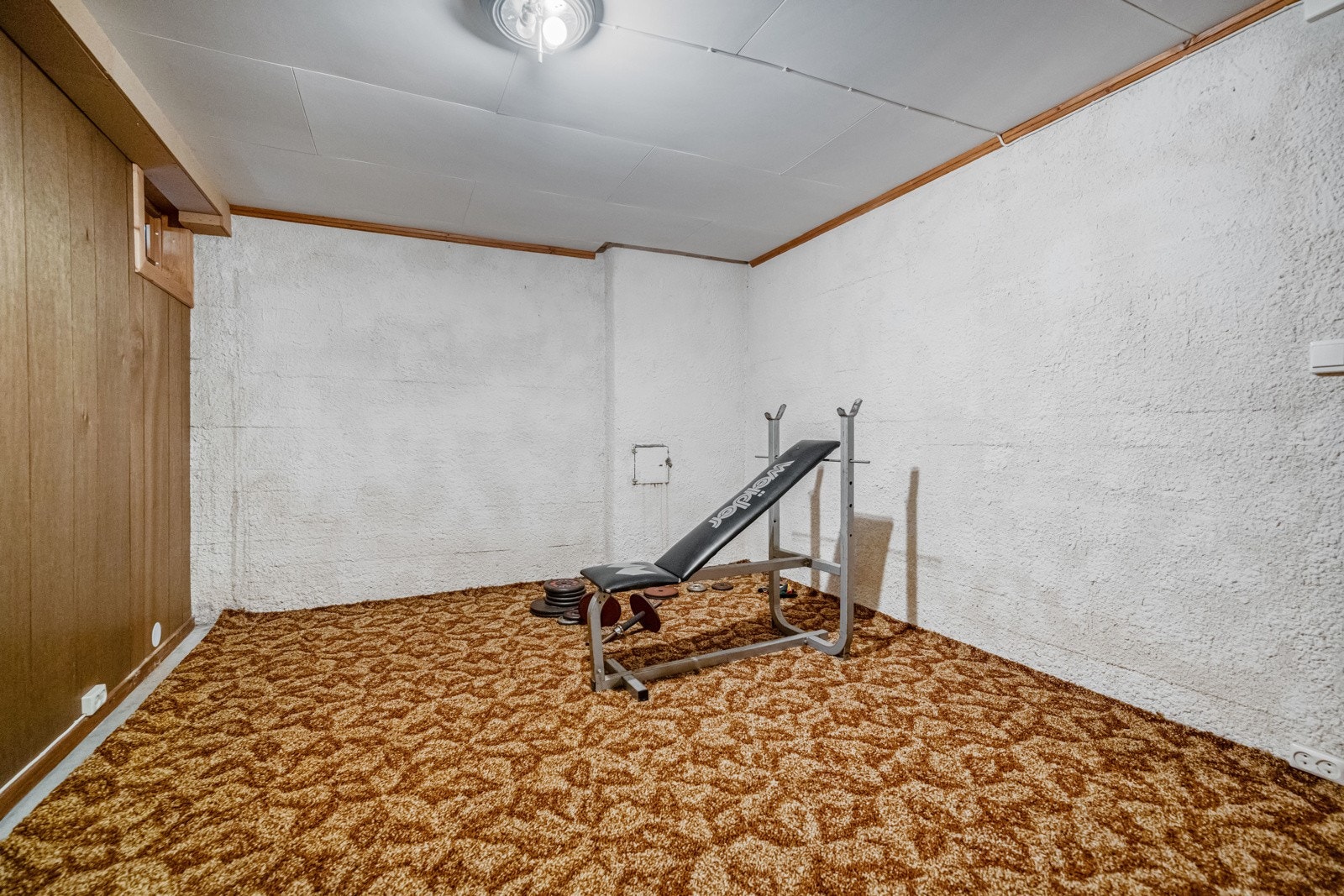 Kjellerstue - ypperlig som ungdomsrom, treningsrom eller hjemmekino. Galleribilde