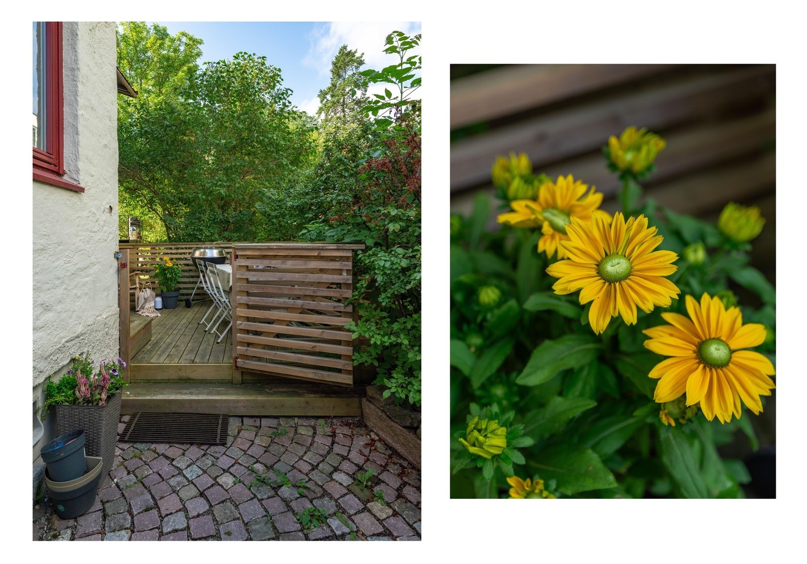 Det sies at man kan ha blomster her også. Galleribilde