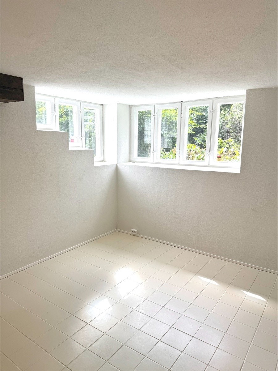 Vinduer fra stue Galleribilde