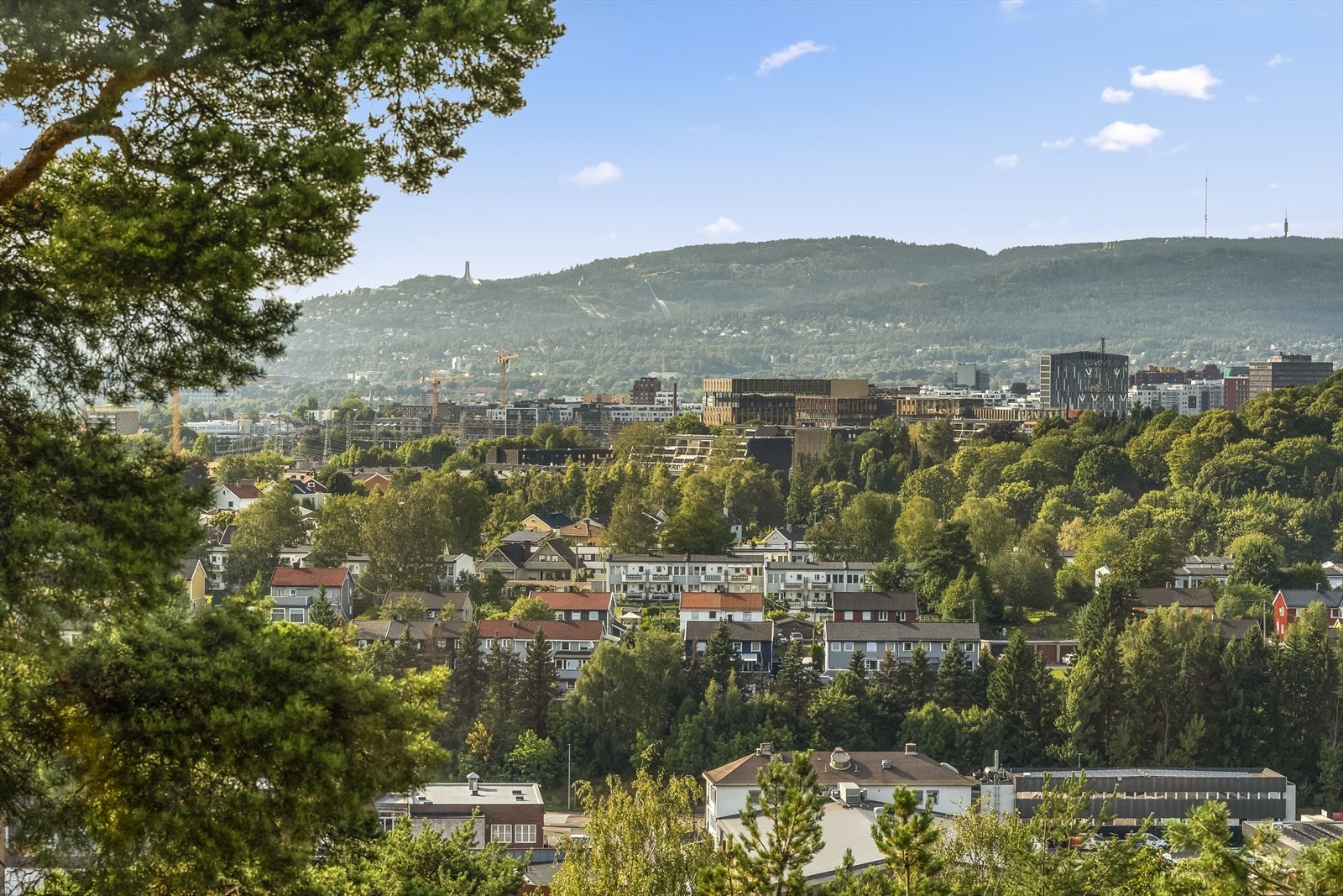 Storslått utsikt over Oslo med kjente landemerker som Holmenkollen i horisonten. Galleribilde