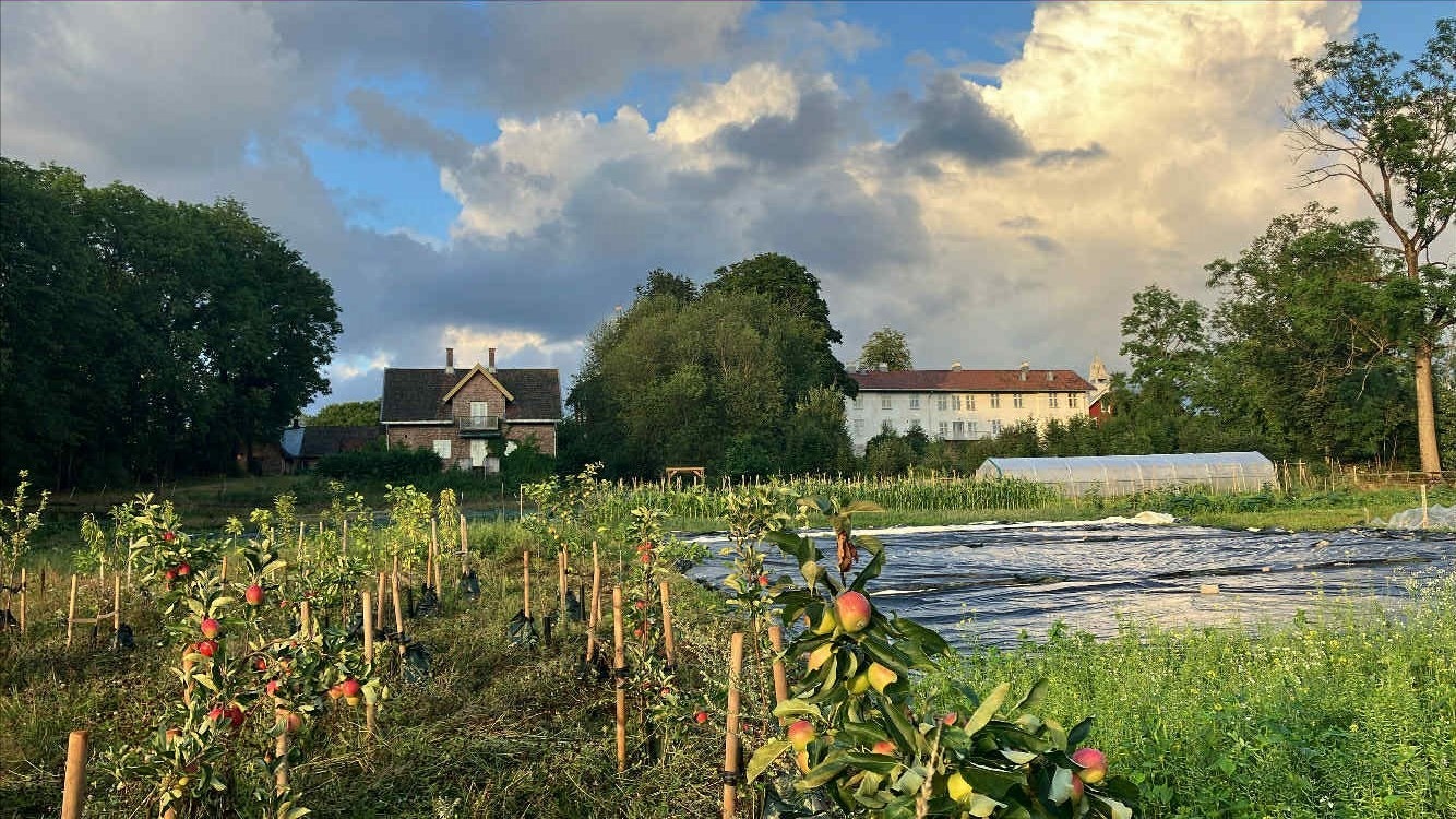 På Tveten andelsgård dyrkes både grønnsaker og samhold. Galleribilde