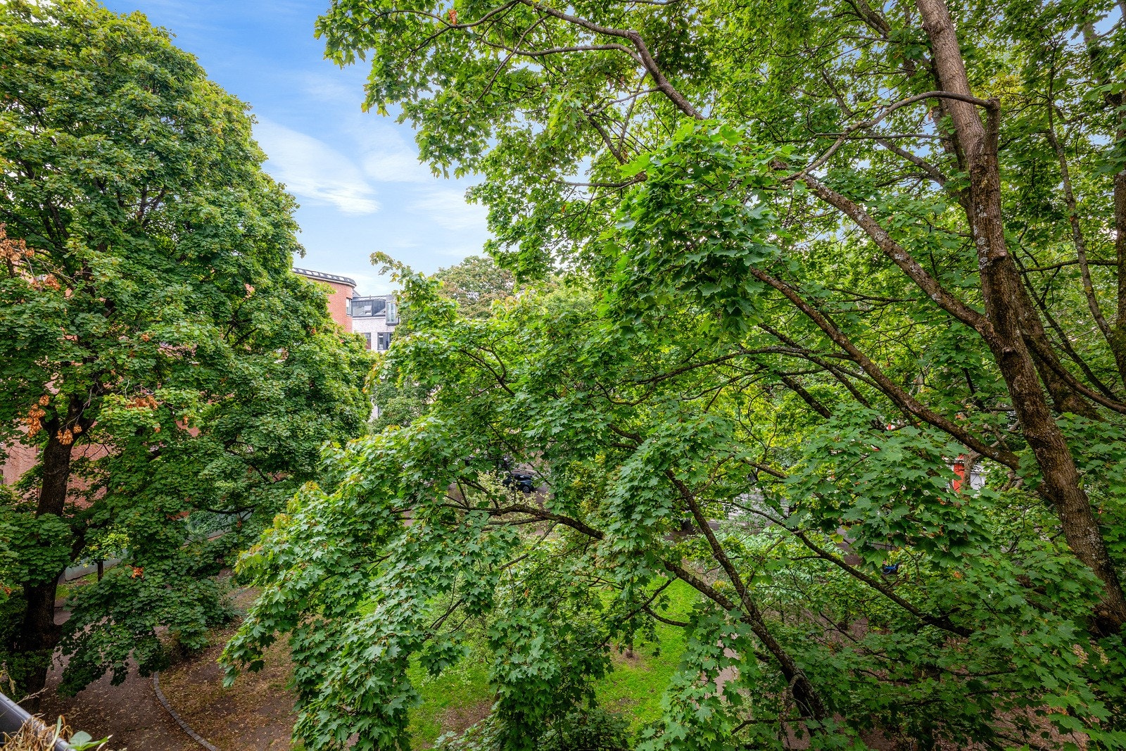 Her får du nydelige naturfarger og alle årstider inn i boligen. Galleribilde