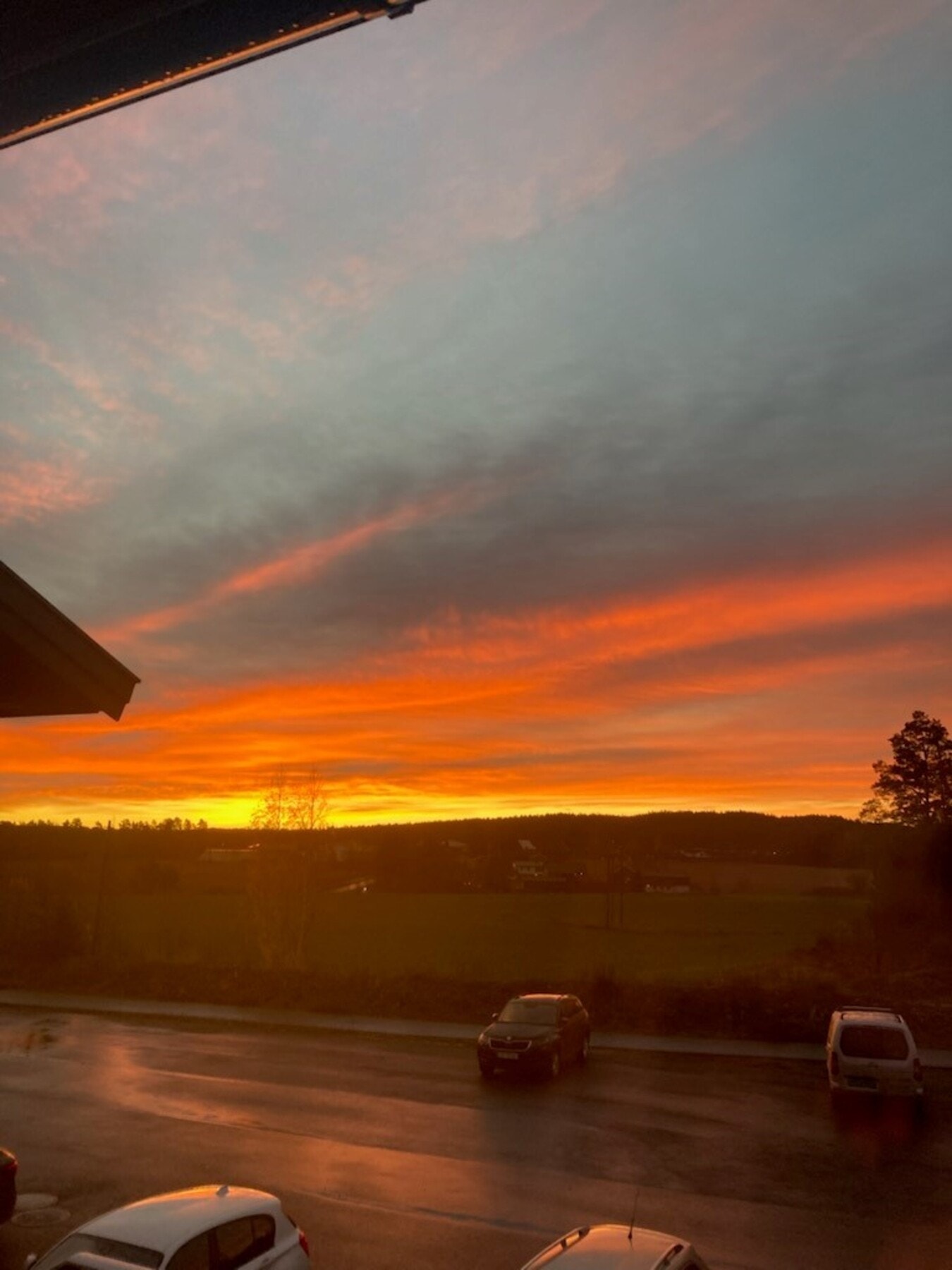 Selgers private foto Galleribilde