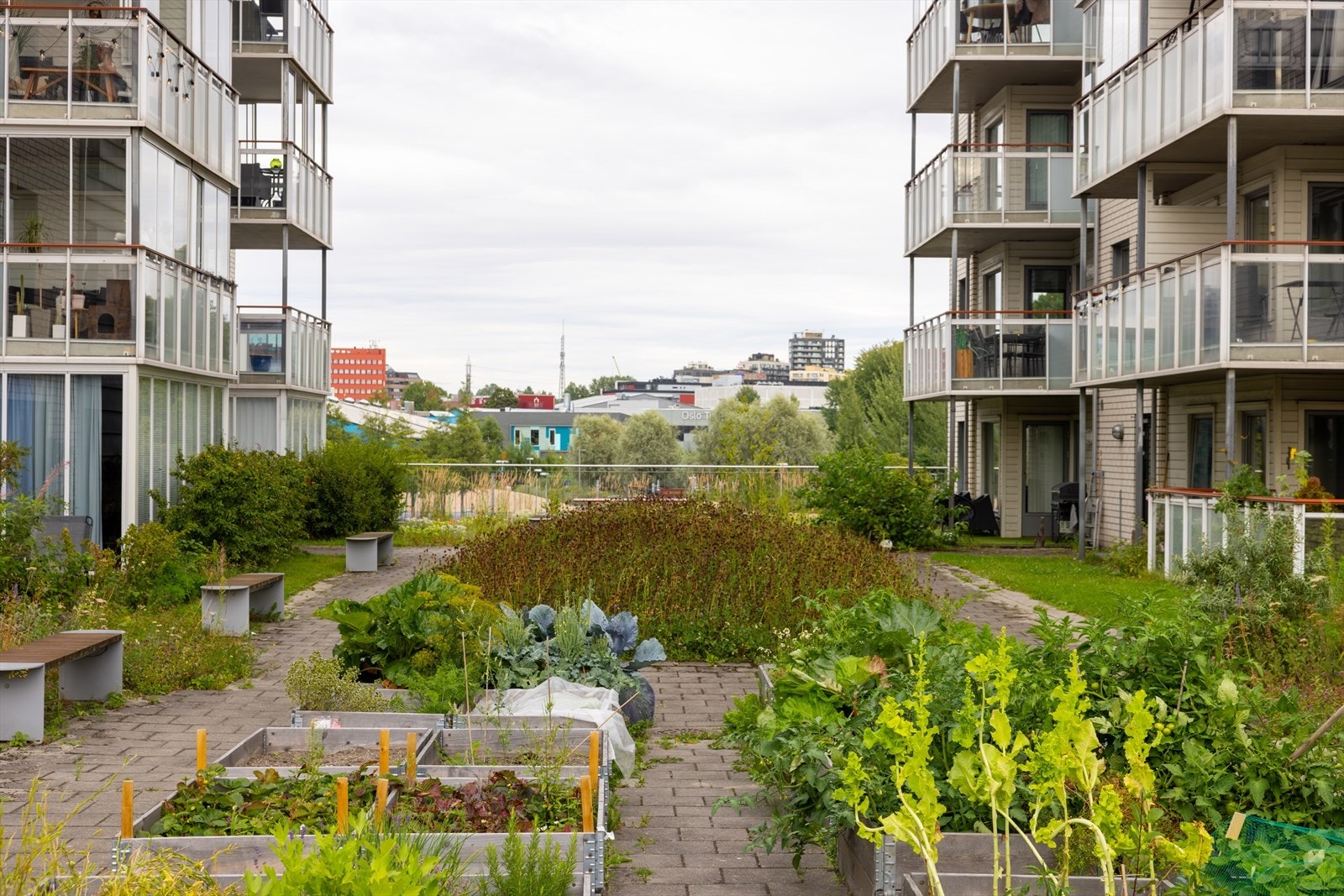 Felles lukket hageområde med mulighet for egen plantekasse. Galleribilde