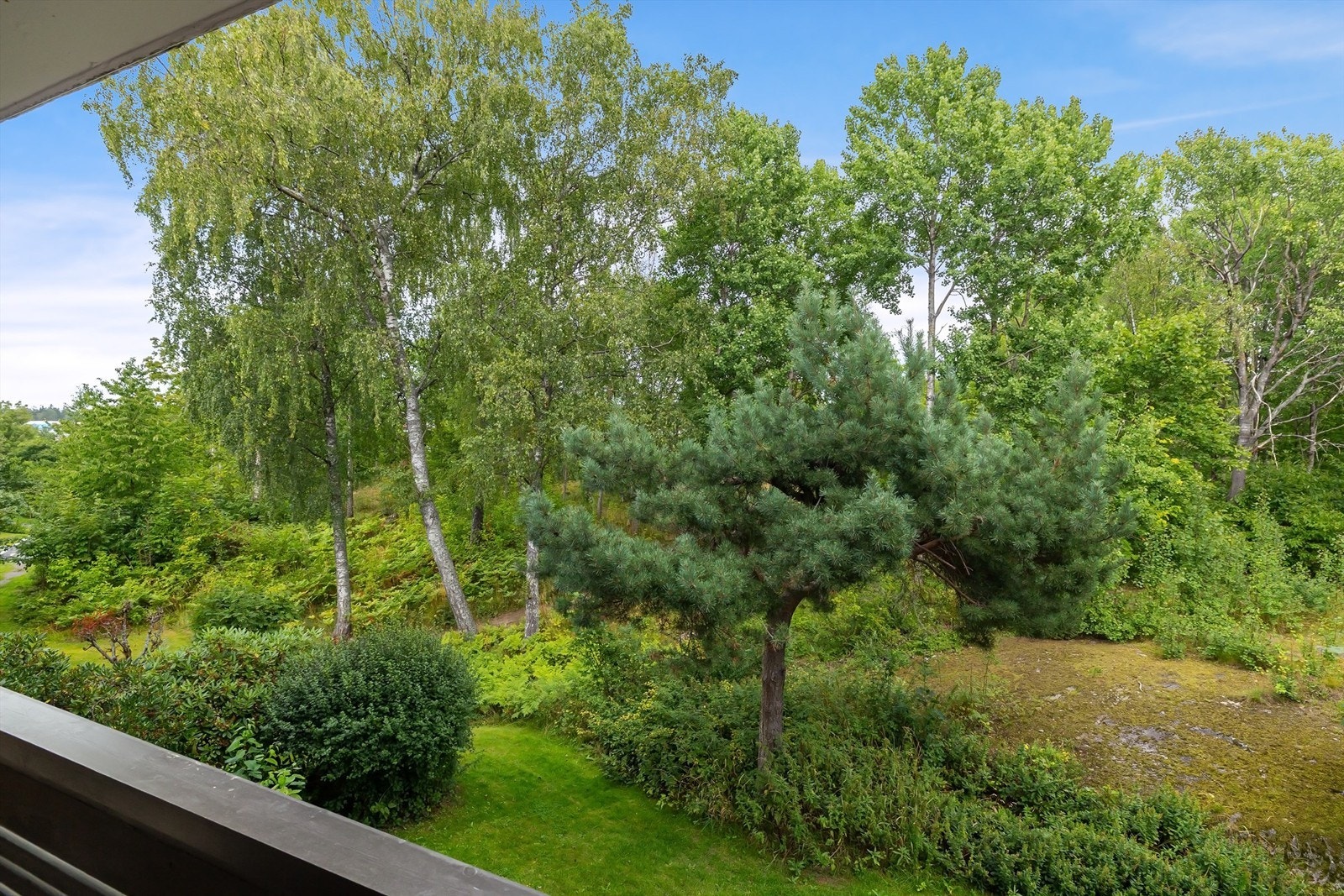 Her får du både en fredelig og idyllisk skogsutsikt med ingen innsyn! Galleribilde