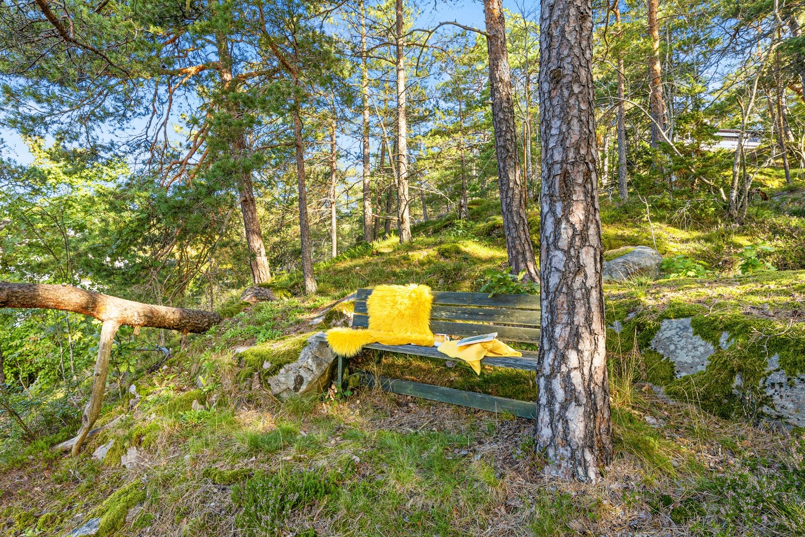 Koselig sitteplass på tomten i naturskjønne omgivelser. Galleribilde
