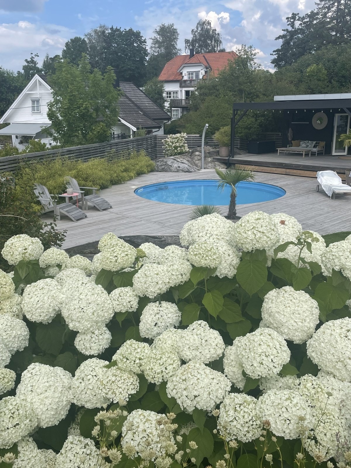 Privat hagebilde Galleribilde