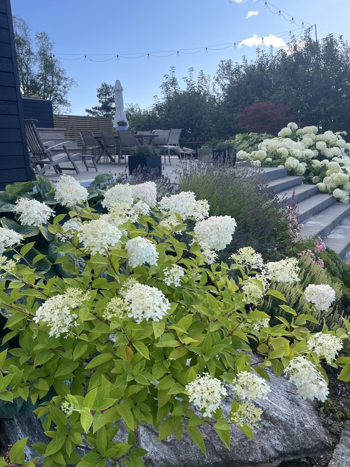 Privat hagebilde Galleribilde