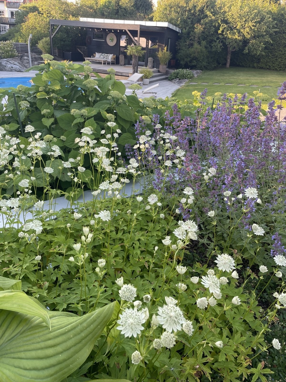 Privat hagebilde Galleribilde