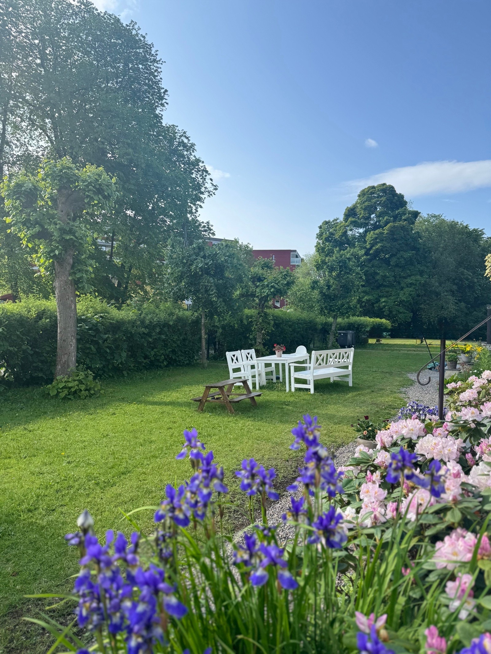 Selgers sommerbilde som viser frodig hage Galleribilde