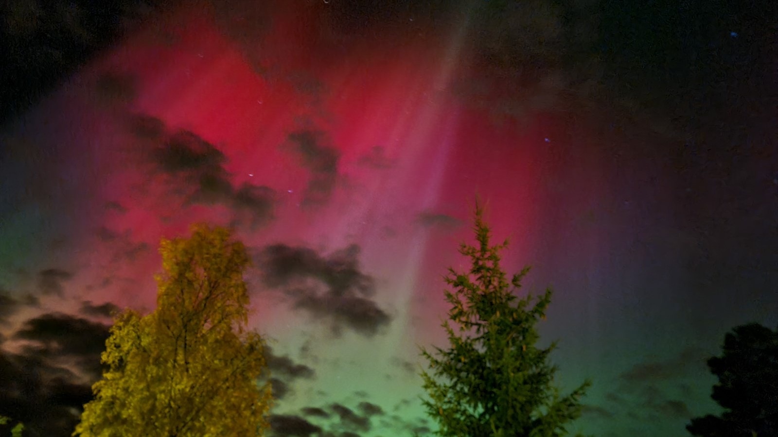 Nordlys sett fra eiendommen Galleribilde