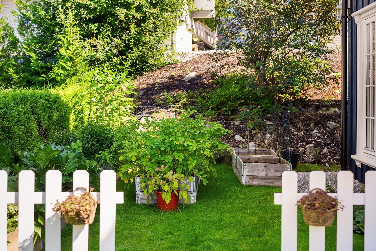 Det er opparbeidet stor kjøkkenhage på nordsiden av huset, her kan det dyrkes alle slags grønnsaker. Galleribilde