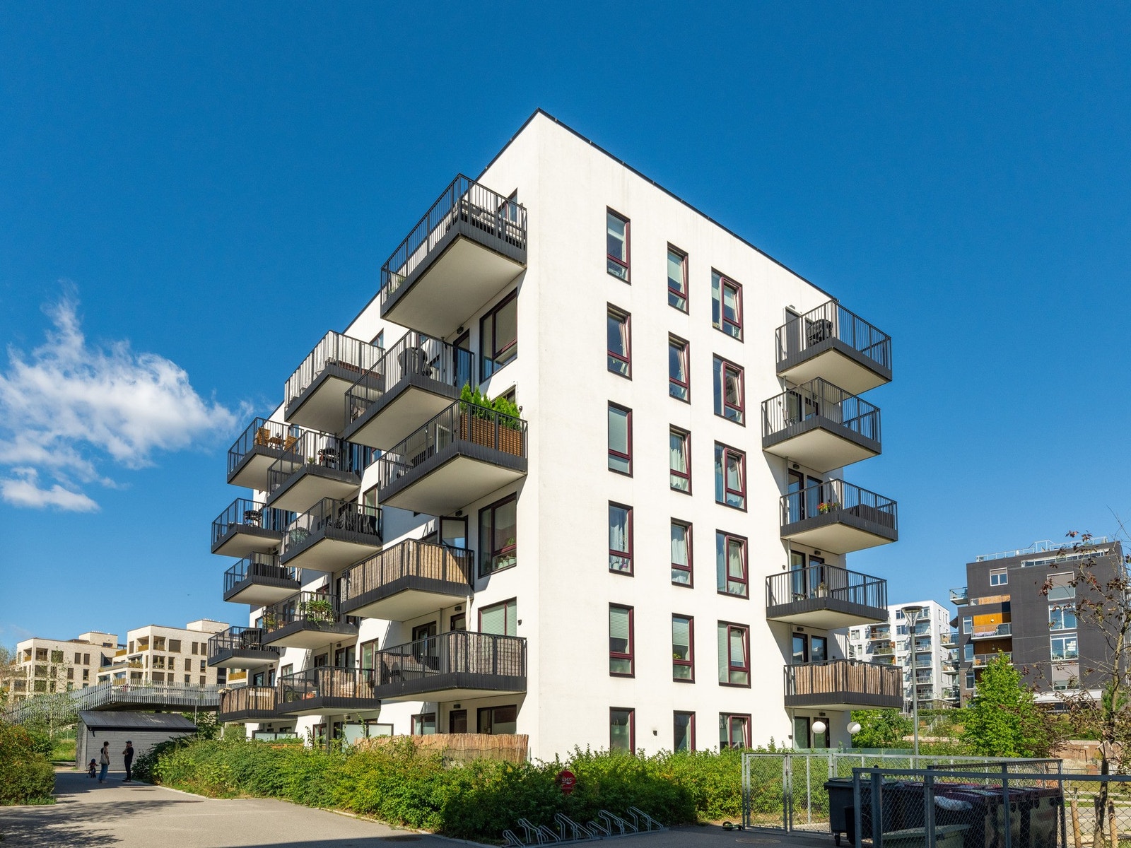 Sees vi? Galleribilde