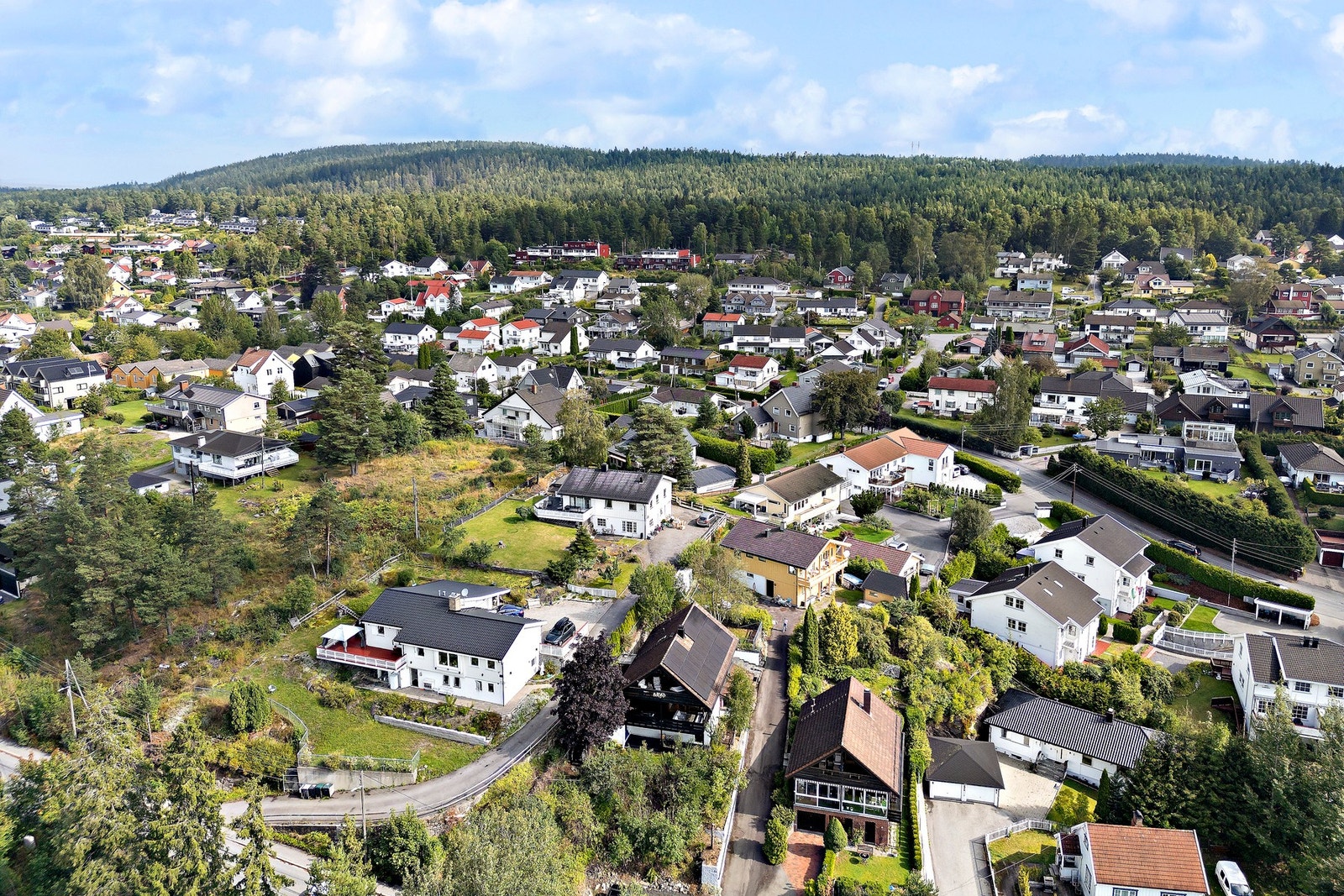 Oversiktsbilde. Galleribilde