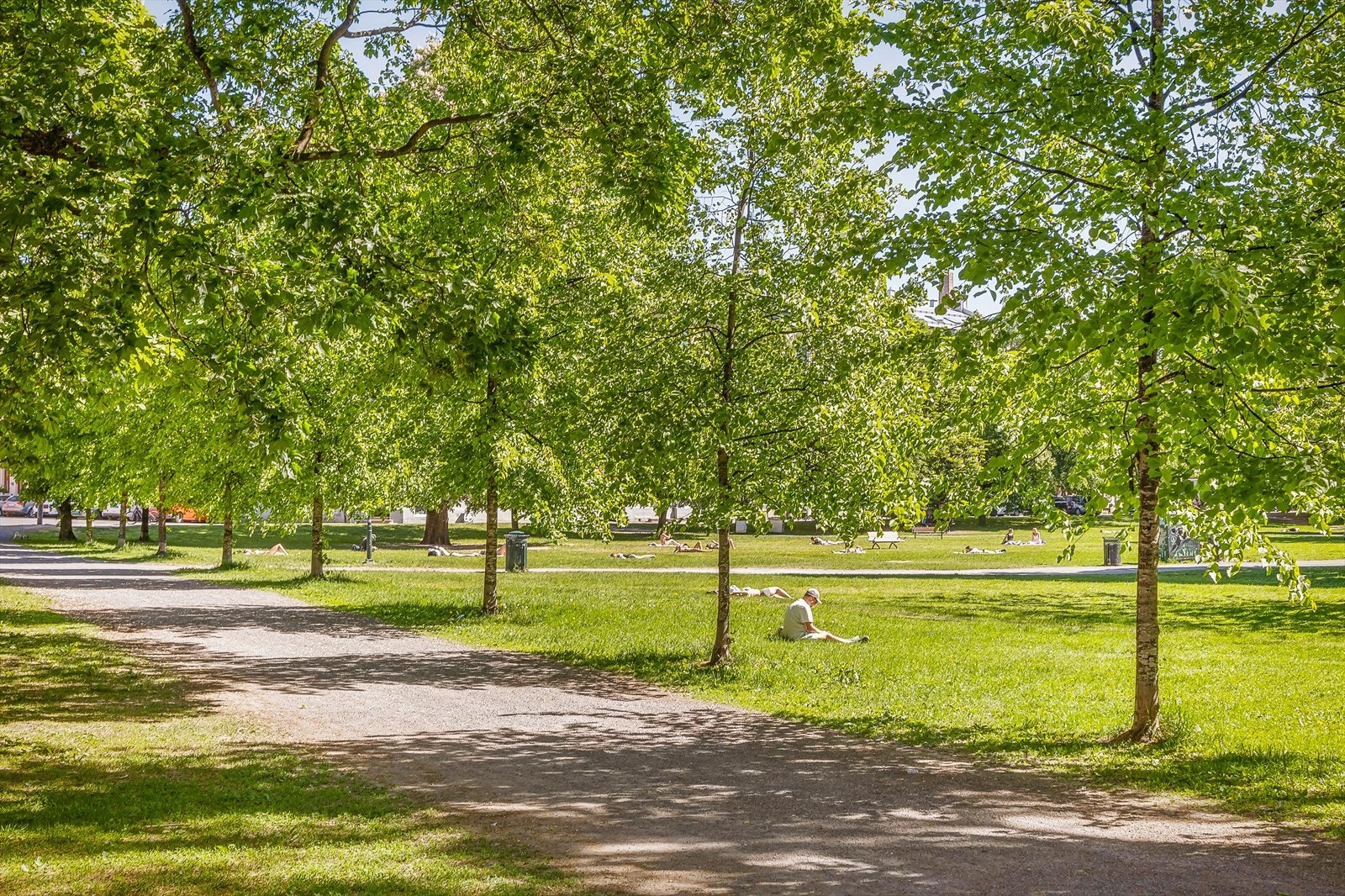 Sofienbergparken ligger et steinkast unna leiligheten, hvor flotte sommerdager kan nytes. Galleribilde