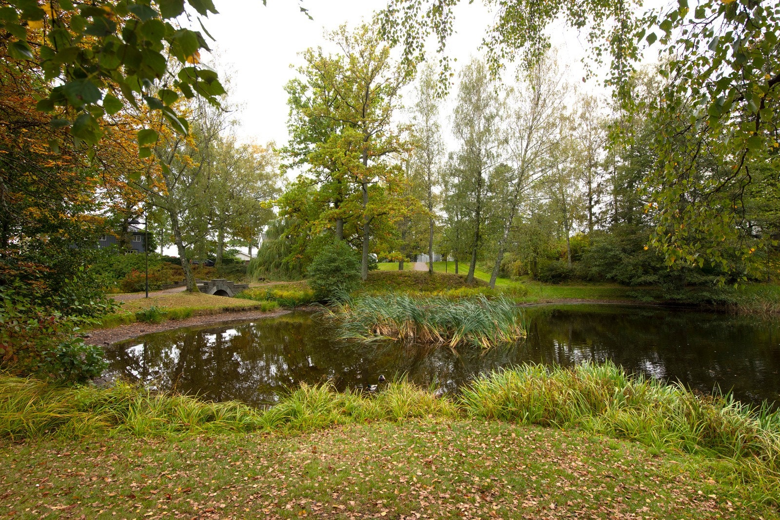 Fine naturområder i nærheten Galleribilde