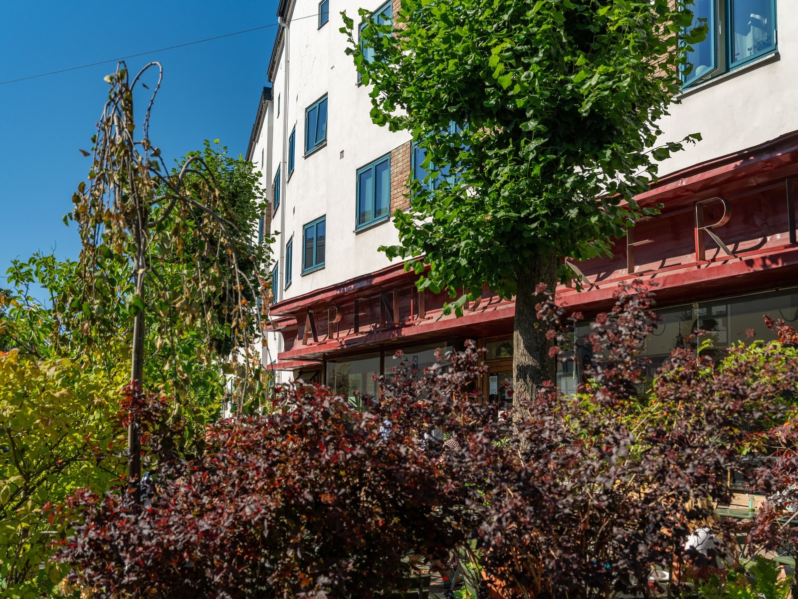 Åpent Bakeri og Lofthus samvirkelag - boller og pizza; den beste naboen man kan ha? Galleribilde