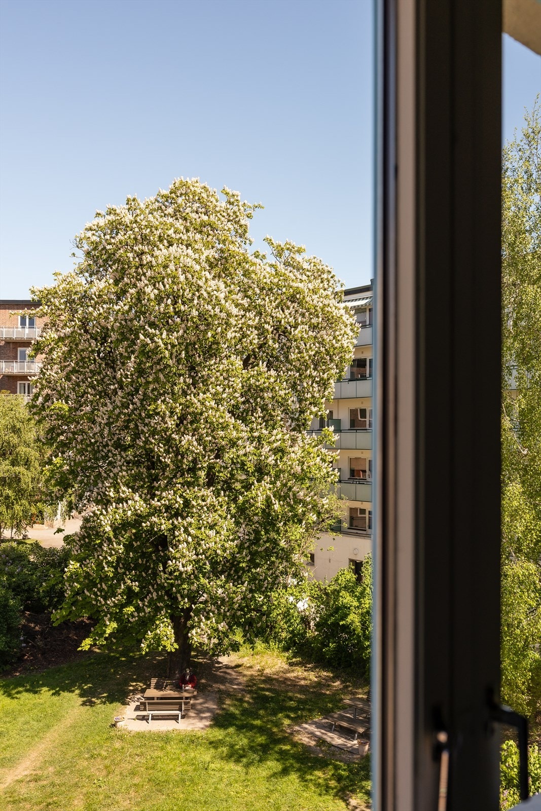 Leiligheten byr på et fredelig og frodig utsyn mot grønne omgivelser. Galleribilde